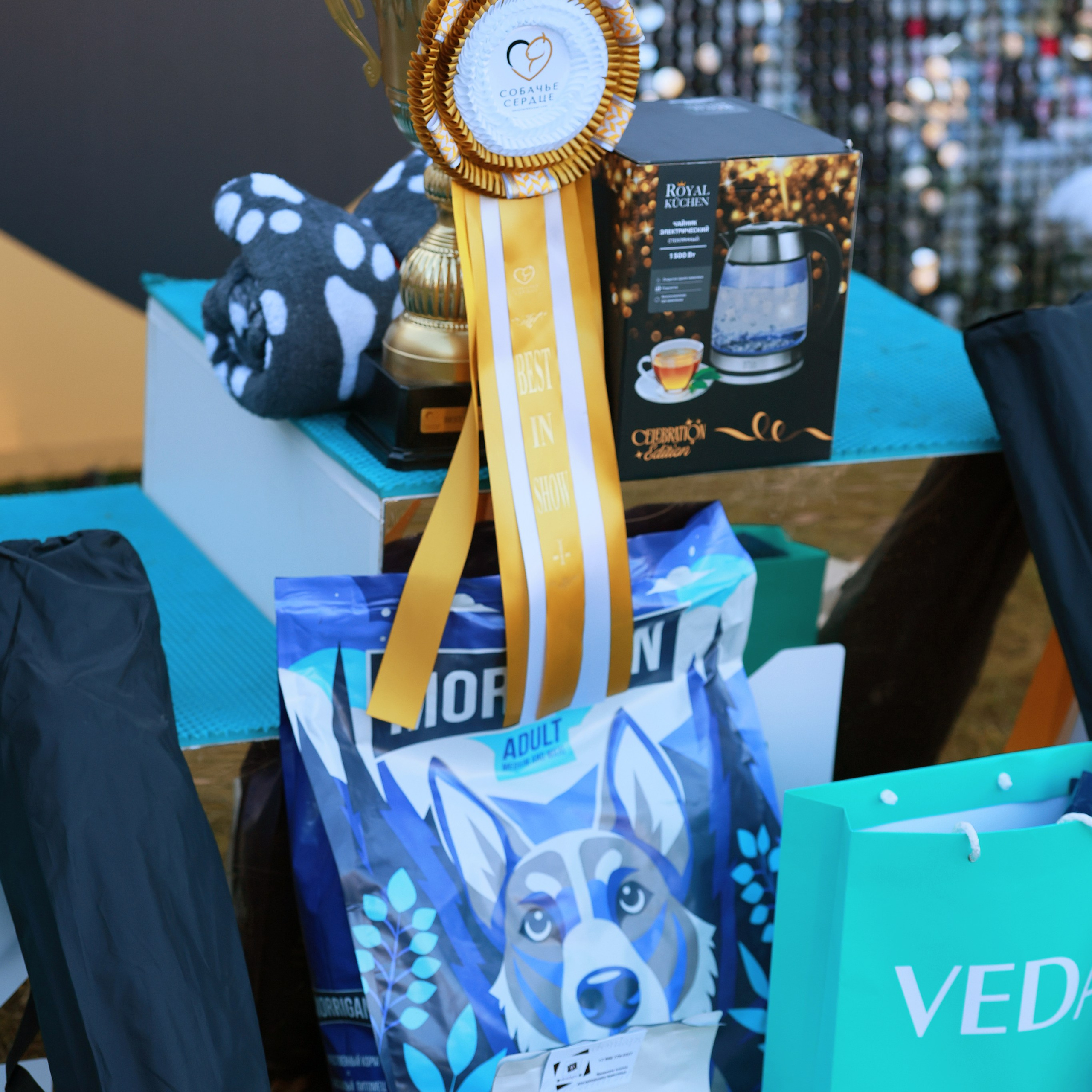 27-28.09.2025 ВЫСТАВКИ СОБАК ВСЕХ ПОРОД (САС, ЧРКФ, ЧФ). Кинологический клуб РКФ РФСС СЕНСАЦИЯ