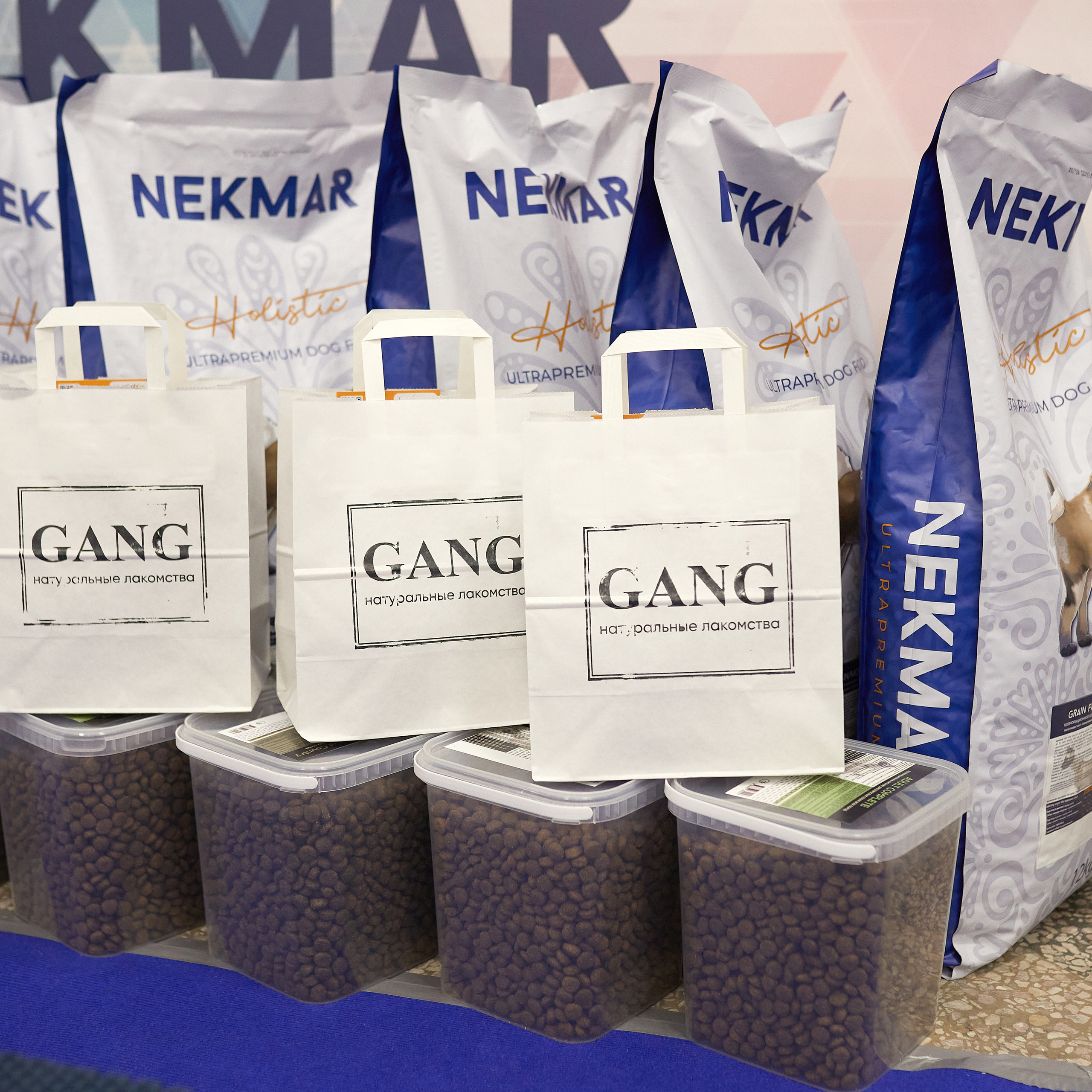 11.02.23 ВЫСТАВКА СОБАК ВСЕХ ПОРОД (CAC, ЧФ) «СЕНСАЦИЯ-2023». Кинологический клуб РКФ РФСС СЕНСАЦИЯ