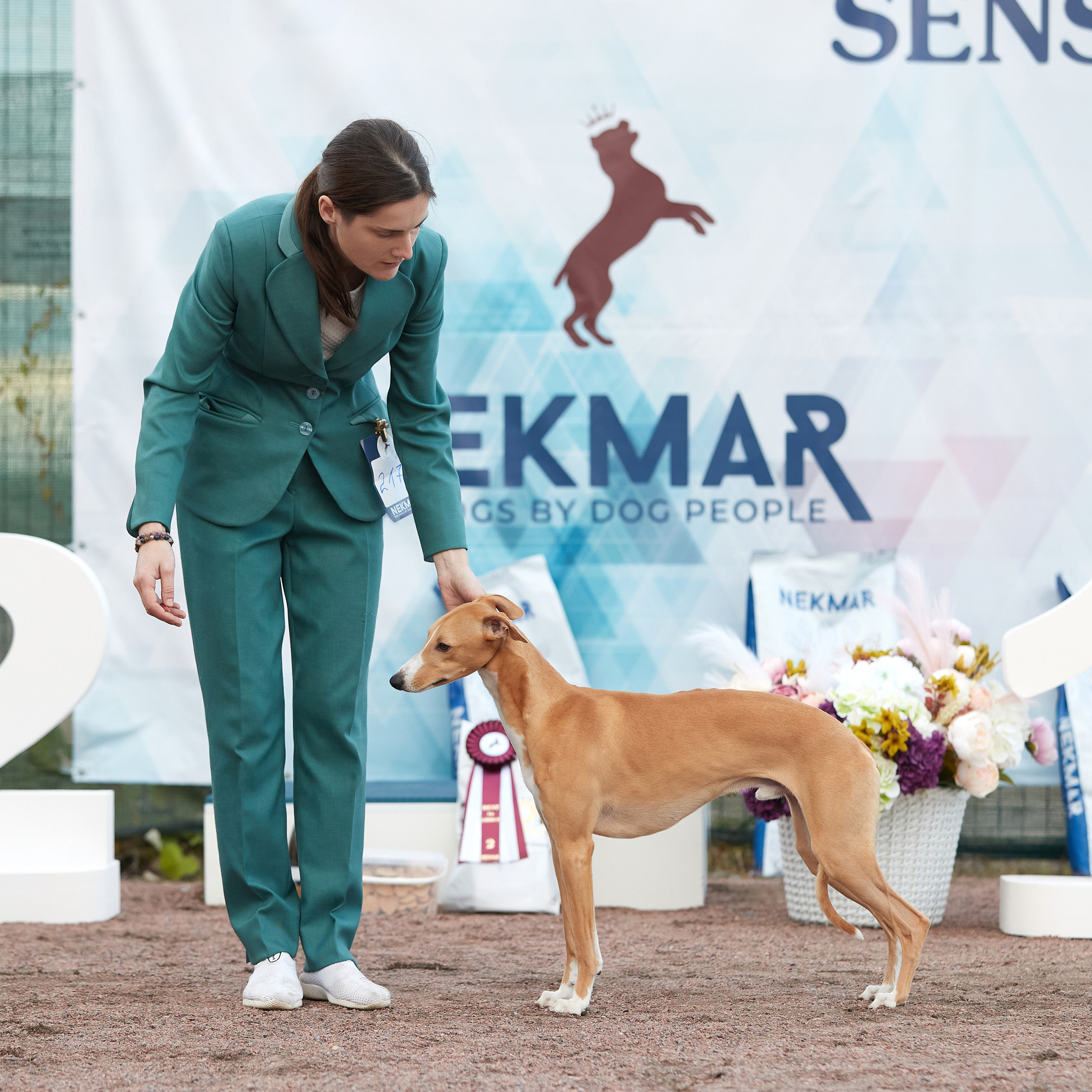 18.09.22 ВЫСТАВКА СОБАК ВСЕХ ПОРОД (CAC, ЧФ) «СЕНСАЦИЯ-2022». Кинологический клуб РКФ РФСС СЕНСАЦИЯ