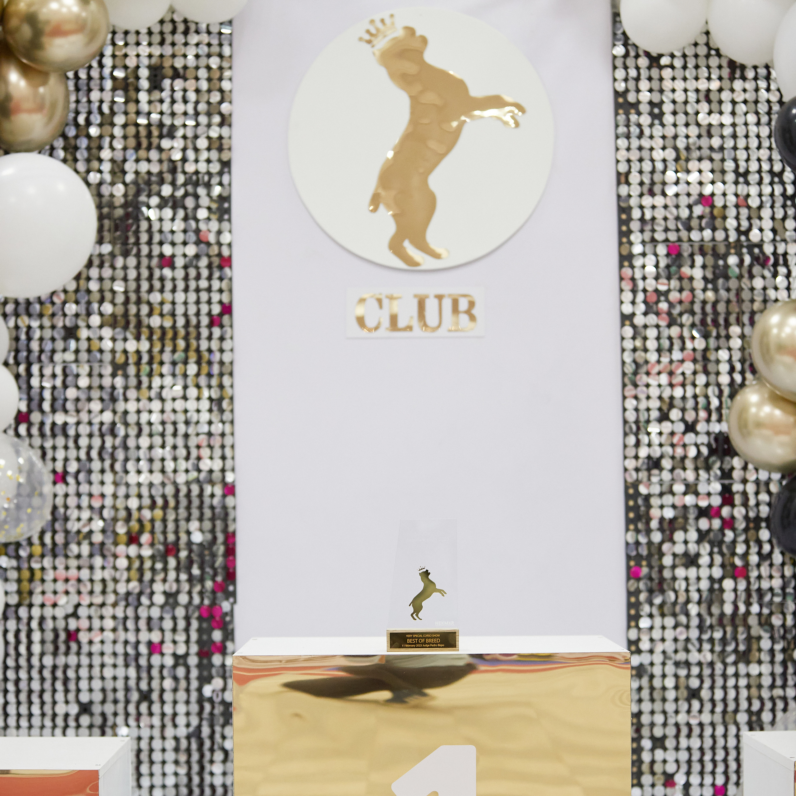 11.02.23 ВЫСТАВКА СОБАК ВСЕХ ПОРОД (CAC, ЧФ) «СЕНСАЦИЯ-2023». Кинологический клуб РКФ РФСС СЕНСАЦИЯ