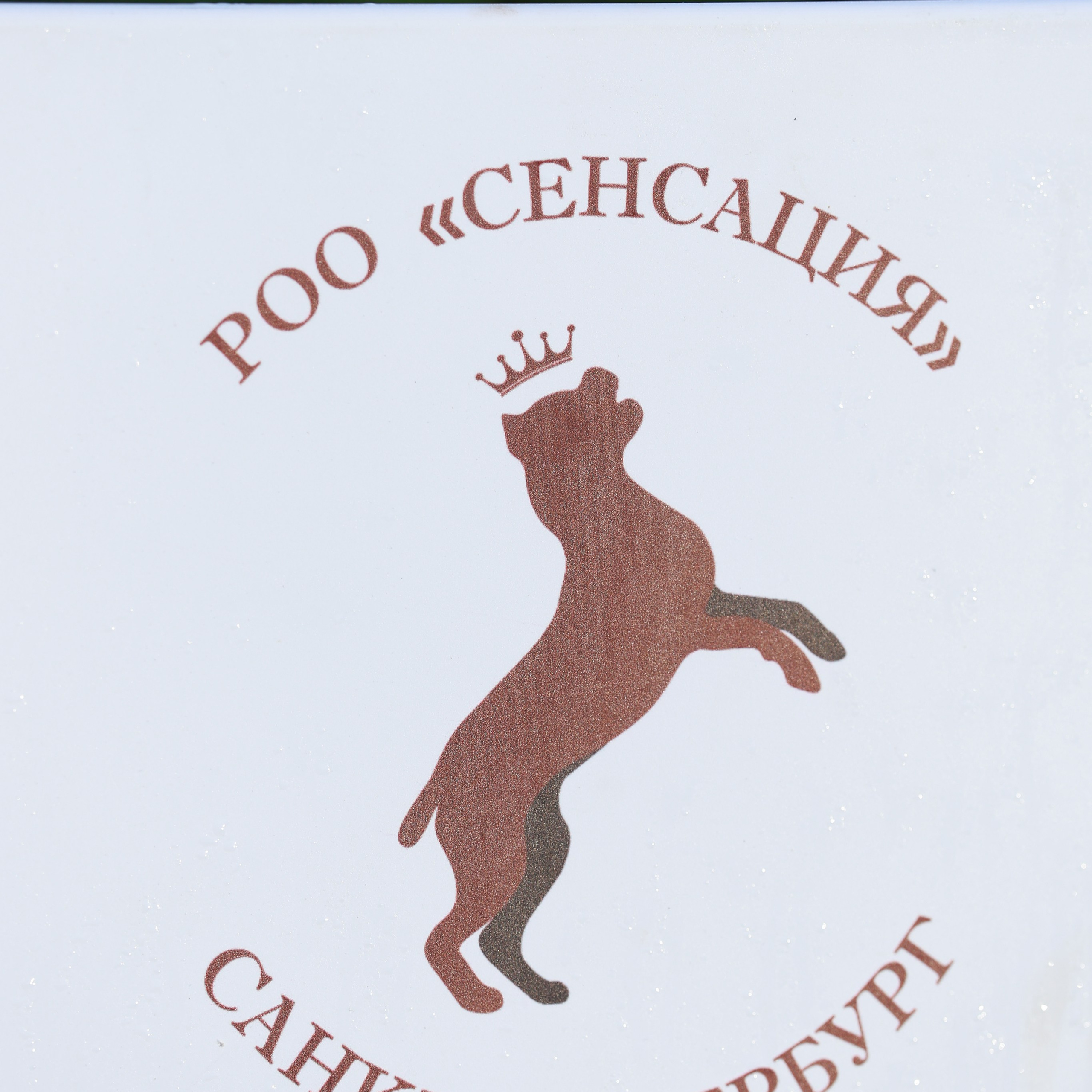 27-28.09.2025 ВЫСТАВКИ СОБАК ВСЕХ ПОРОД (САС, ЧРКФ, ЧФ). Кинологический клуб РКФ РФСС СЕНСАЦИЯ