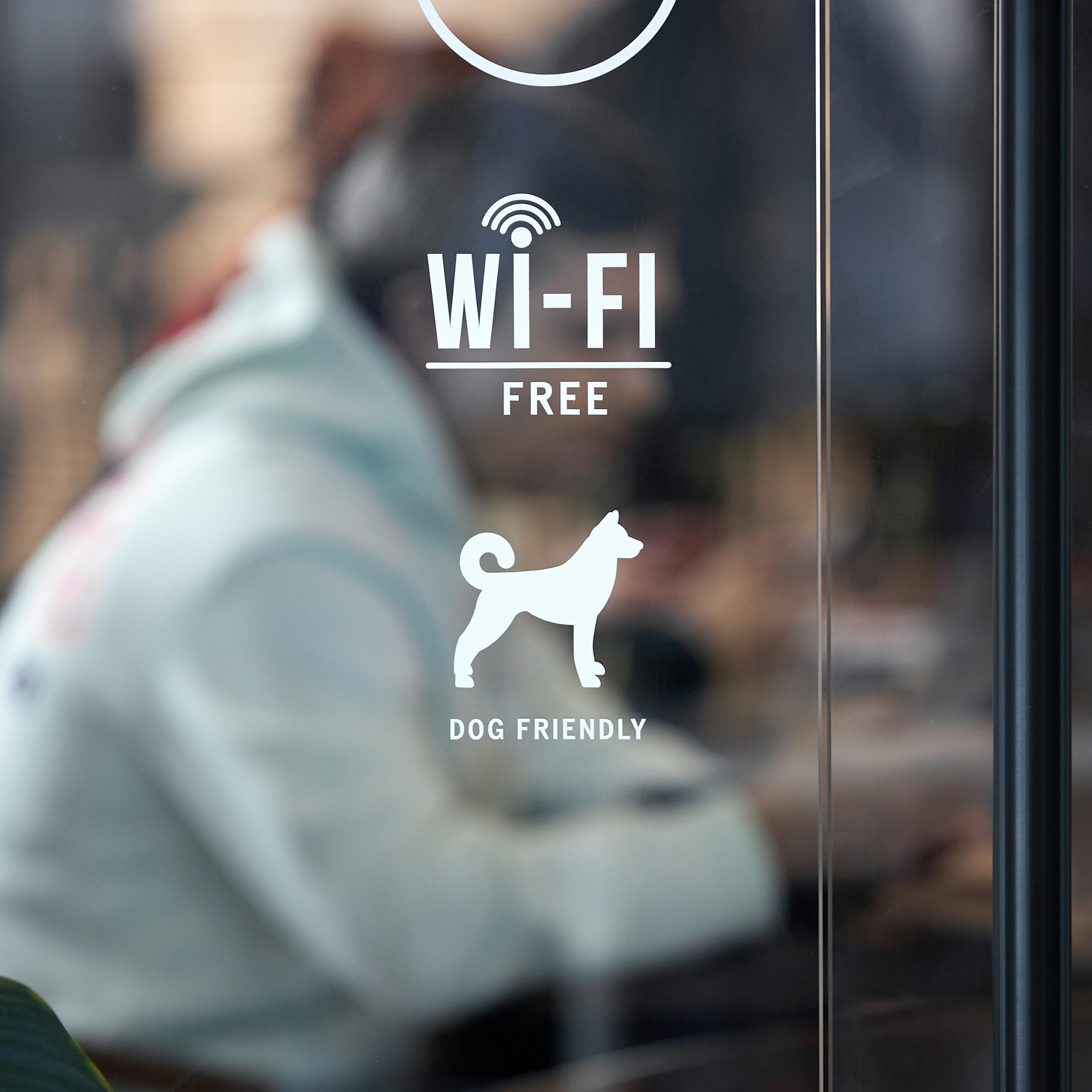 11.02.23 ВЫСТАВКА СОБАК ВСЕХ ПОРОД (CAC, ЧФ) «СЕНСАЦИЯ-2023». Кинологический клуб РКФ РФСС СЕНСАЦИЯ