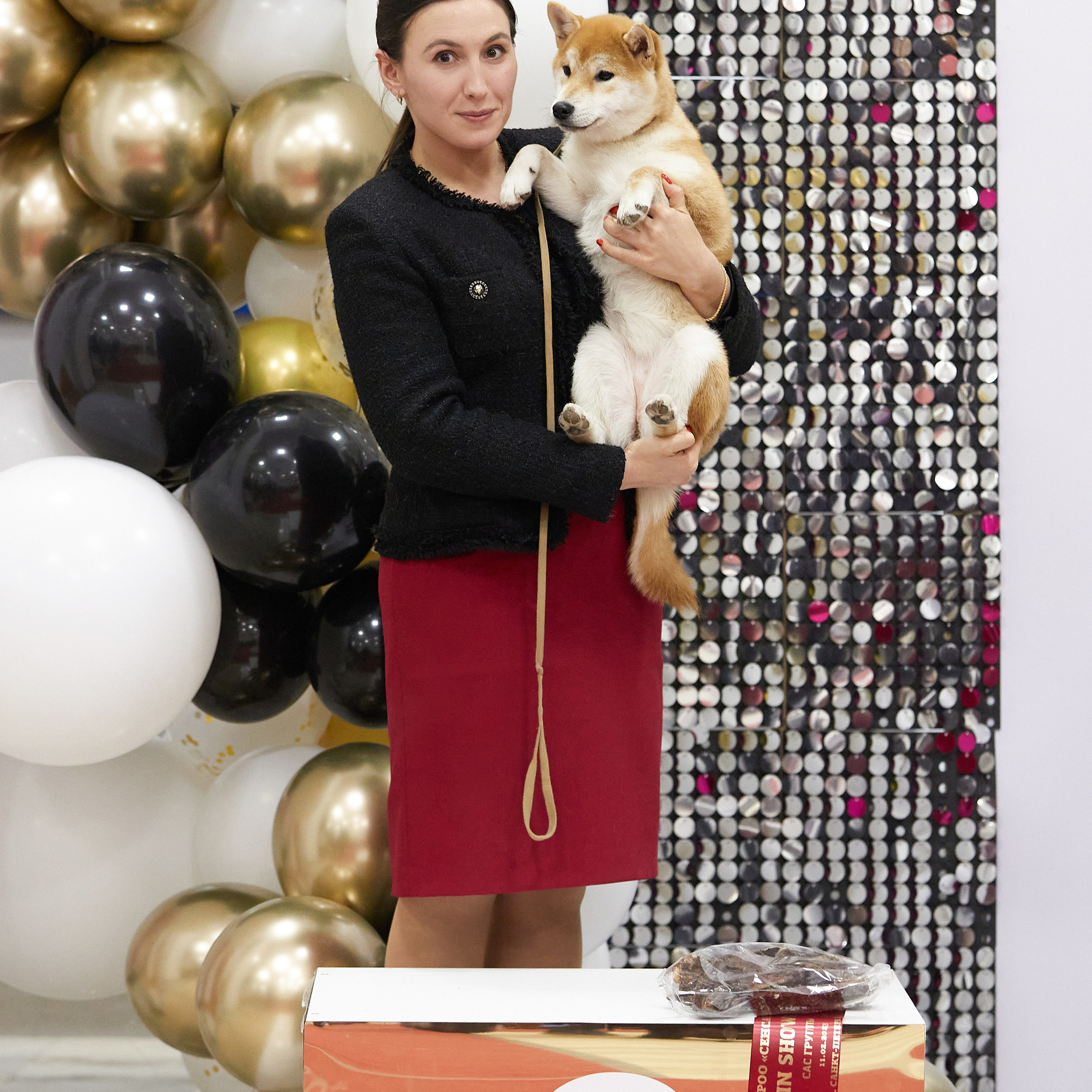 11.02.23 ВЫСТАВКА СОБАК ВСЕХ ПОРОД (CAC, ЧФ) «СЕНСАЦИЯ-2023». Кинологический клуб РКФ РФСС СЕНСАЦИЯ