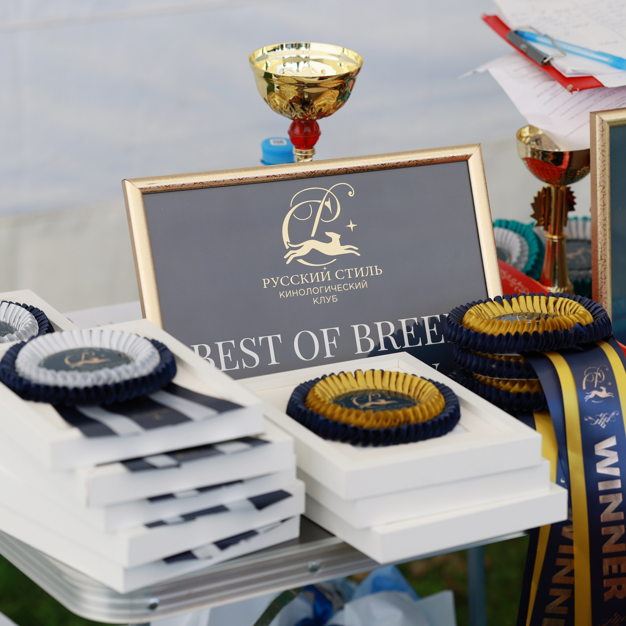 27-28.09.2025 ВЫСТАВКИ СОБАК ВСЕХ ПОРОД (САС, ЧРКФ, ЧФ). Кинологический клуб РКФ РФСС СЕНСАЦИЯ