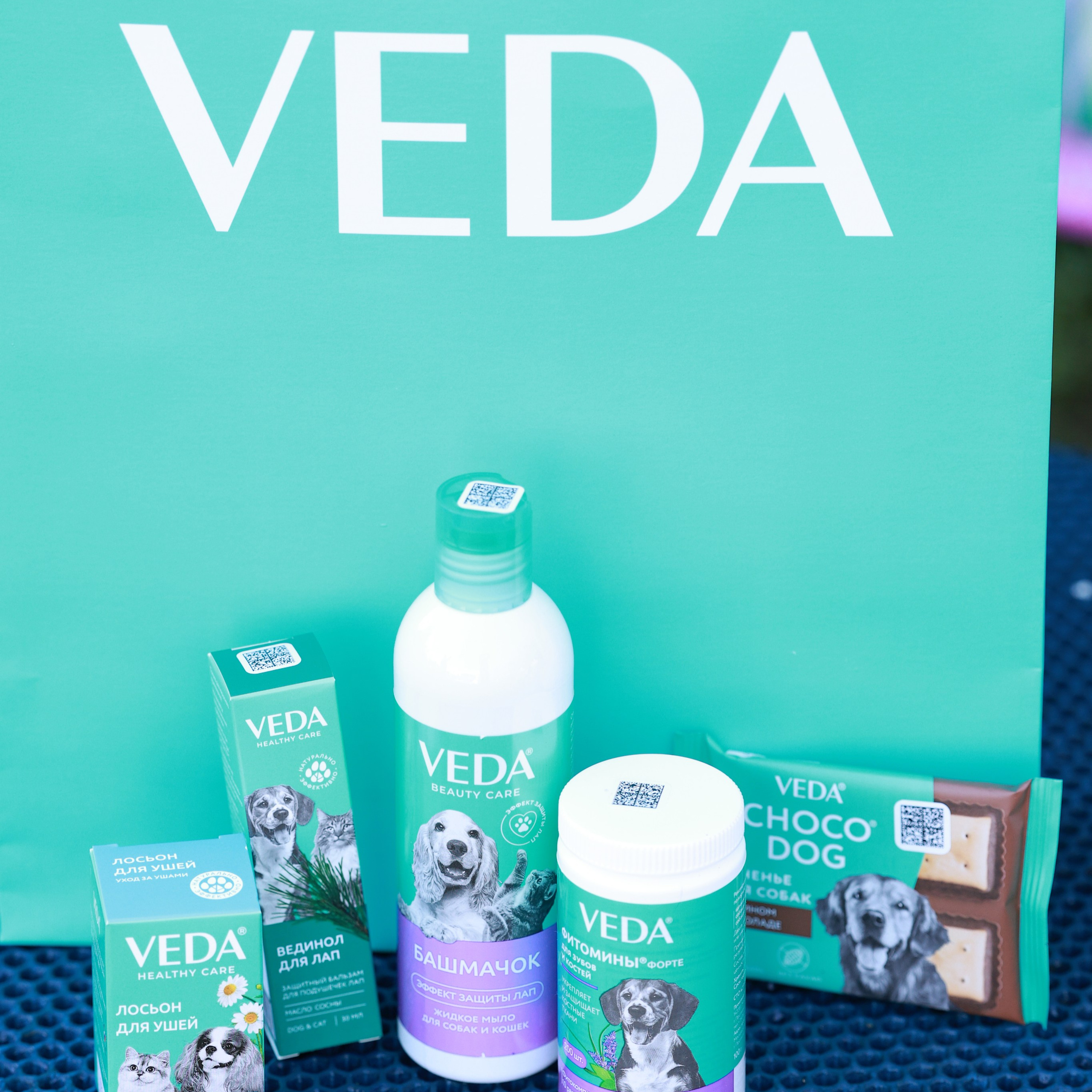 27-28.09.2025 ВЫСТАВКИ СОБАК ВСЕХ ПОРОД (САС, ЧРКФ, ЧФ). Кинологический клуб РКФ РФСС СЕНСАЦИЯ