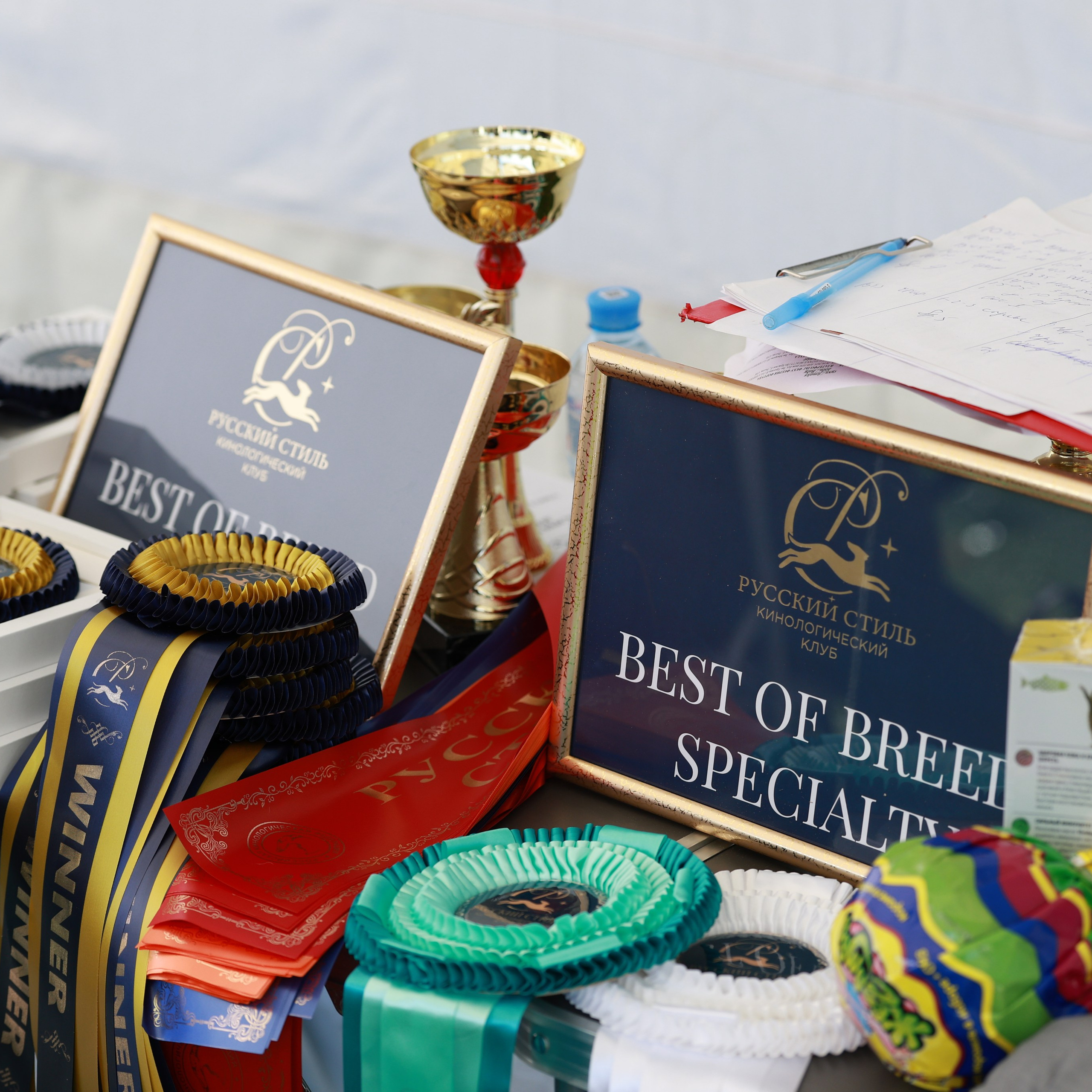 27-28.09.2025 ВЫСТАВКИ СОБАК ВСЕХ ПОРОД (САС, ЧРКФ, ЧФ). Кинологический клуб РКФ РФСС СЕНСАЦИЯ