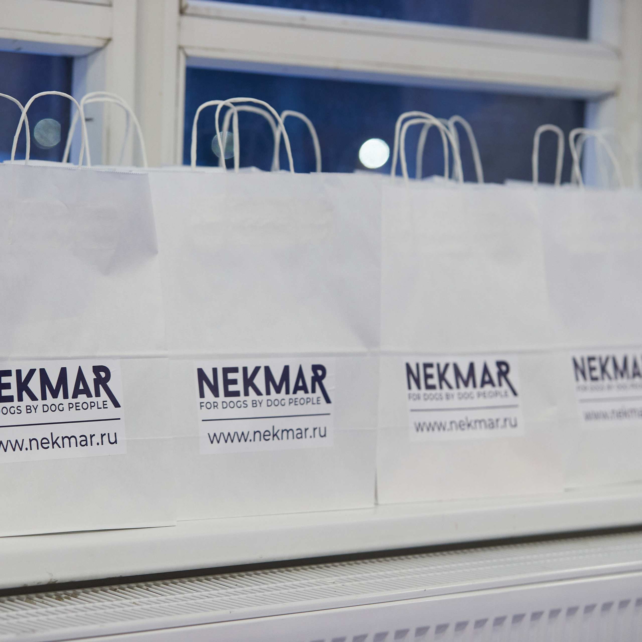 11.02.23 ВЫСТАВКА СОБАК ВСЕХ ПОРОД (CAC, ЧФ) «СЕНСАЦИЯ-2023». Кинологический клуб РКФ РФСС СЕНСАЦИЯ