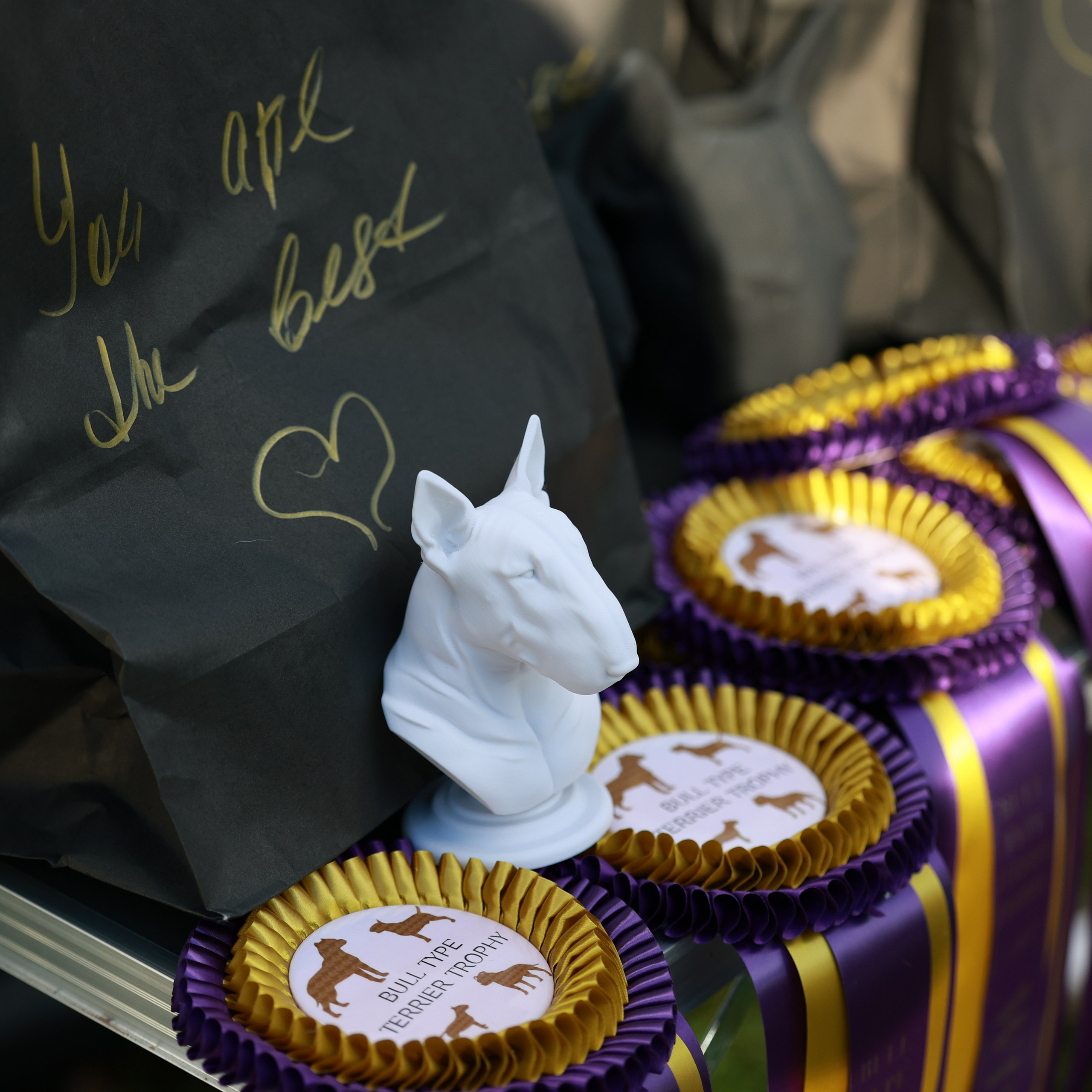 27-28.09.2025 ВЫСТАВКИ СОБАК ВСЕХ ПОРОД (САС, ЧРКФ, ЧФ). Кинологический клуб РКФ РФСС СЕНСАЦИЯ