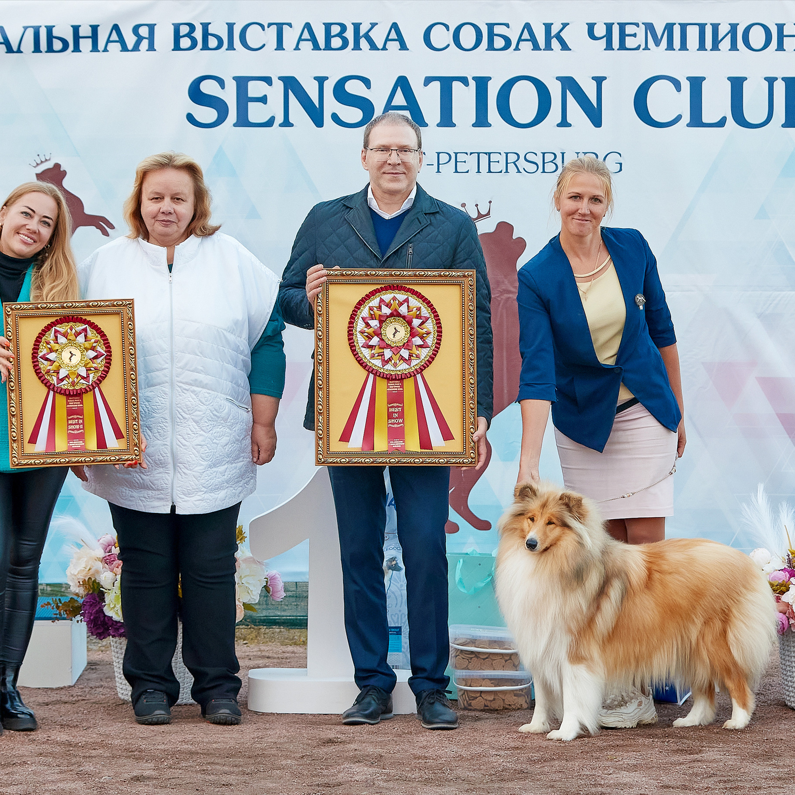 18.09.22 ВЫСТАВКА СОБАК ВСЕХ ПОРОД (CAC, ЧФ) «СЕНСАЦИЯ-2022». Кинологический клуб РКФ РФСС СЕНСАЦИЯ