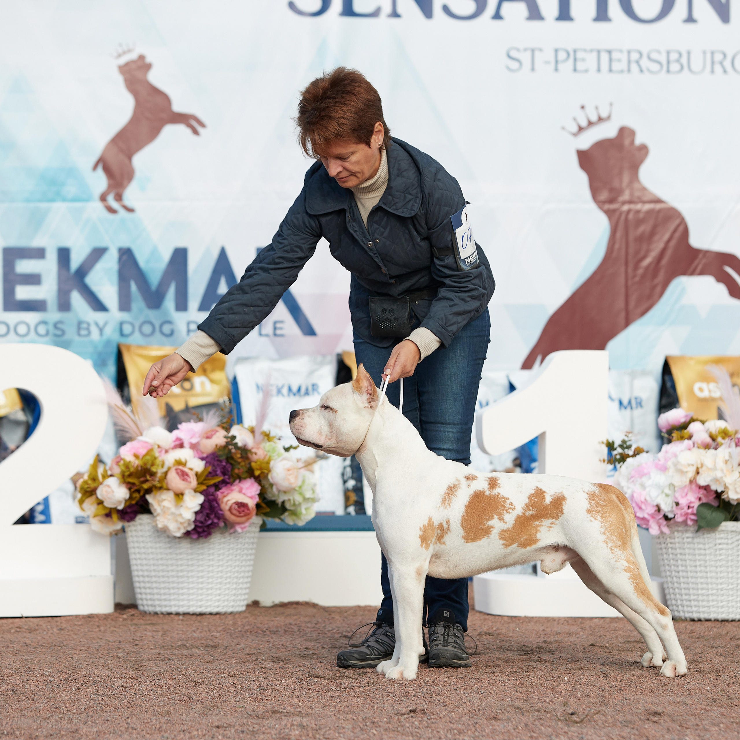 18.09.22 ВЫСТАВКА СОБАК ВСЕХ ПОРОД (CAC, ЧФ) «СЕНСАЦИЯ-2022». Кинологический клуб РКФ РФСС СЕНСАЦИЯ