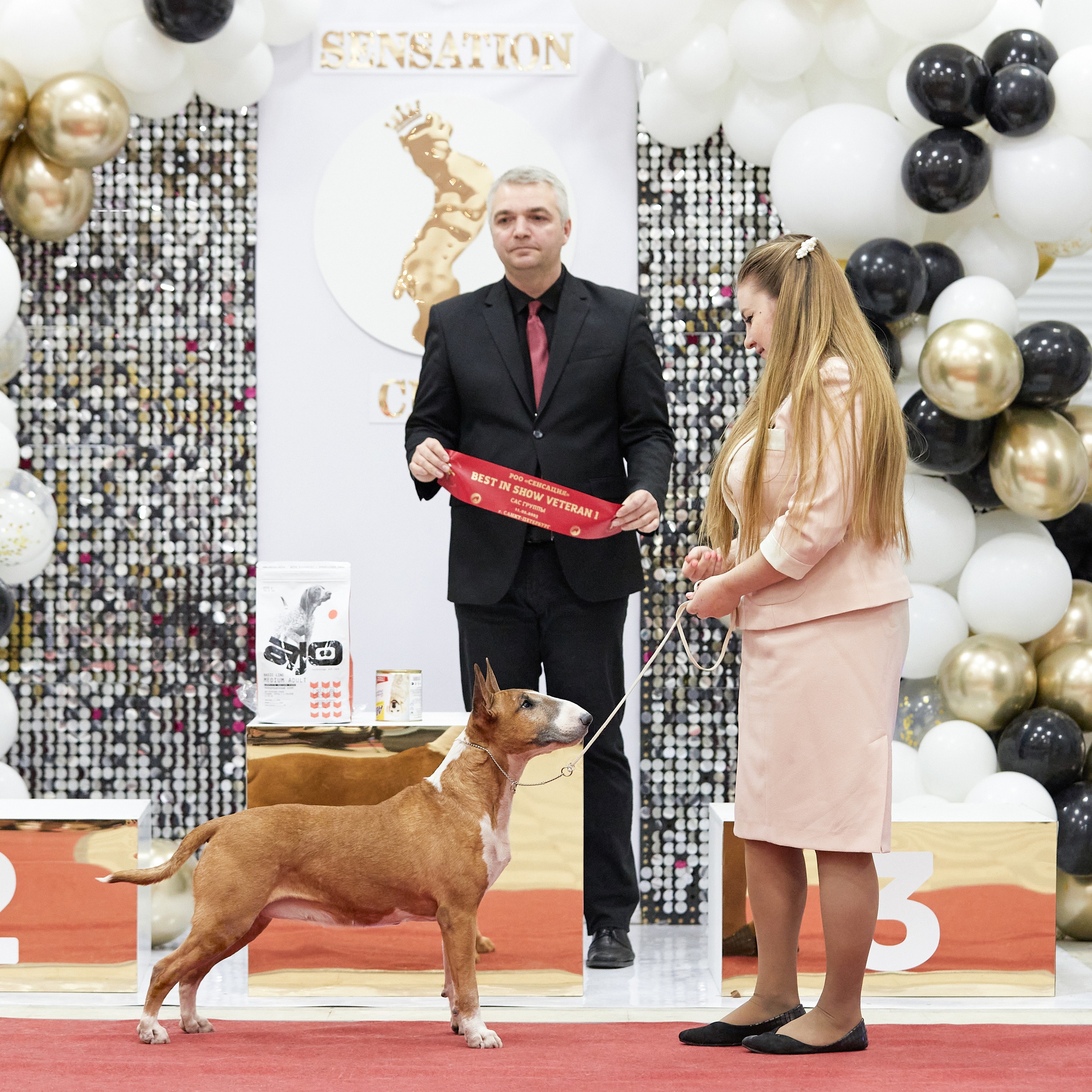 11.02.23 ВЫСТАВКА СОБАК ВСЕХ ПОРОД (CAC, ЧФ) «СЕНСАЦИЯ-2023». Кинологический клуб РКФ РФСС СЕНСАЦИЯ