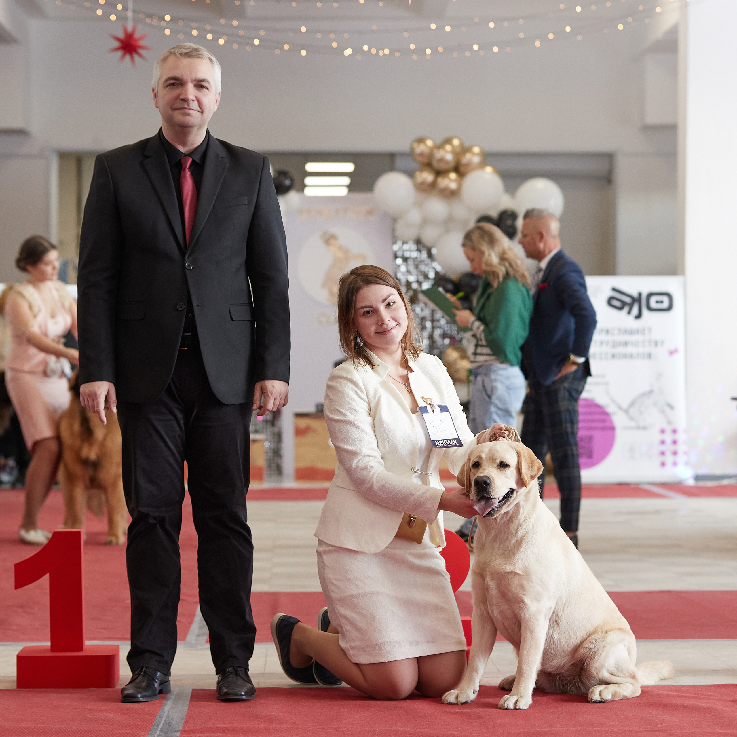 11.02.23 ВЫСТАВКА СОБАК ВСЕХ ПОРОД (CAC, ЧФ) «СЕНСАЦИЯ-2023». Кинологический клуб РКФ РФСС СЕНСАЦИЯ