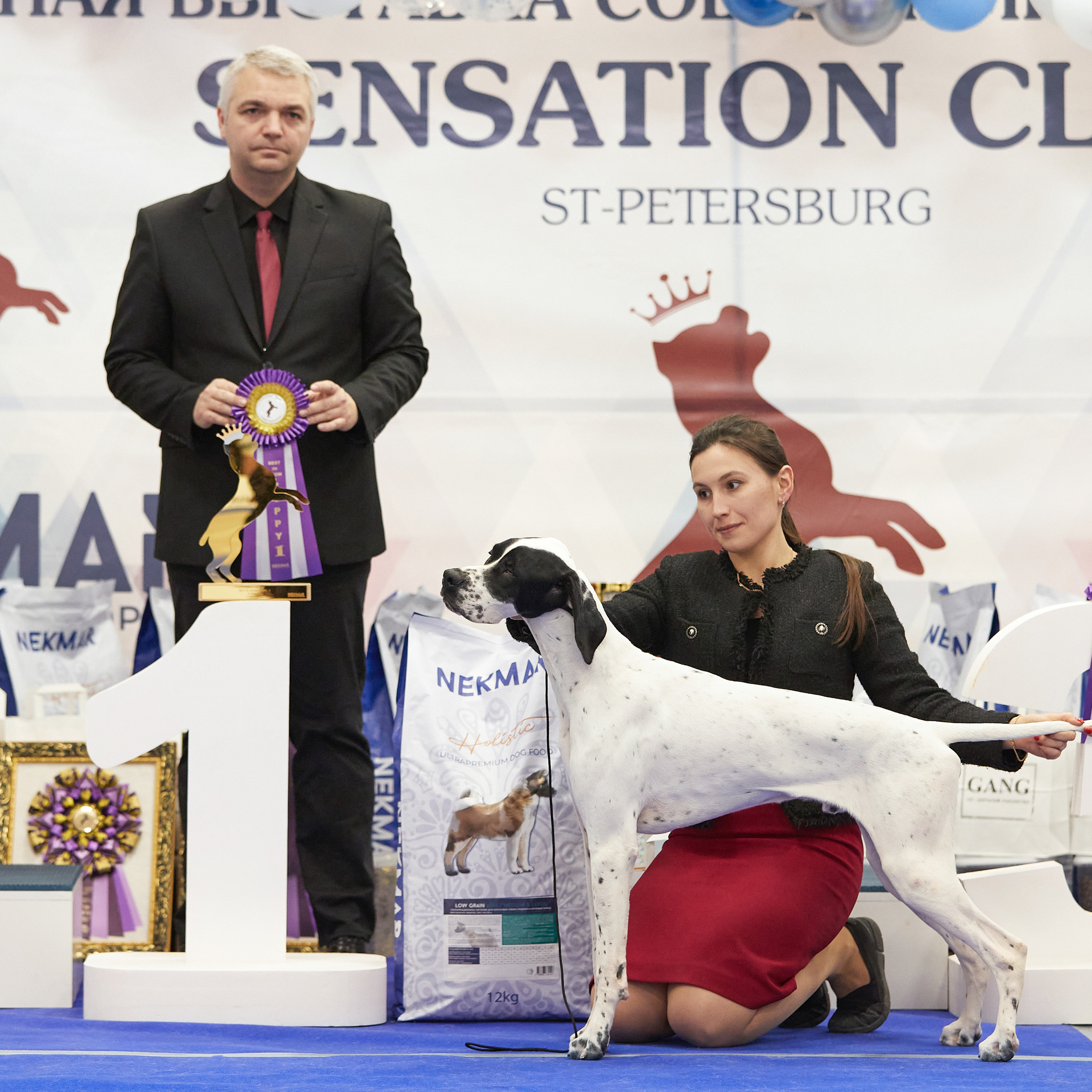 11.02.23 ВЫСТАВКА СОБАК ВСЕХ ПОРОД (CAC, ЧФ) «СЕНСАЦИЯ-2023». Кинологический клуб РКФ РФСС СЕНСАЦИЯ