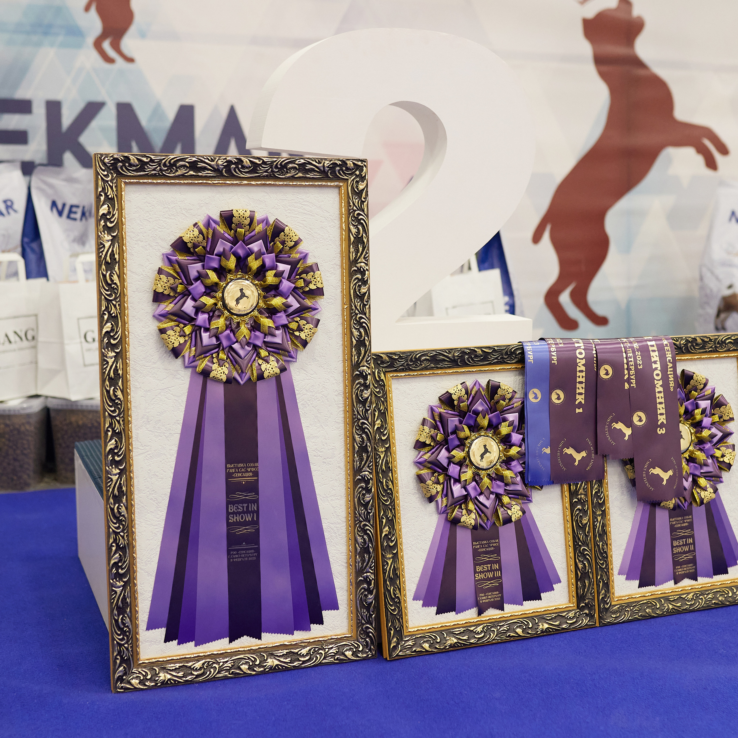 11.02.23 ВЫСТАВКА СОБАК ВСЕХ ПОРОД (CAC, ЧФ) «СЕНСАЦИЯ-2023». Кинологический клуб РКФ РФСС СЕНСАЦИЯ