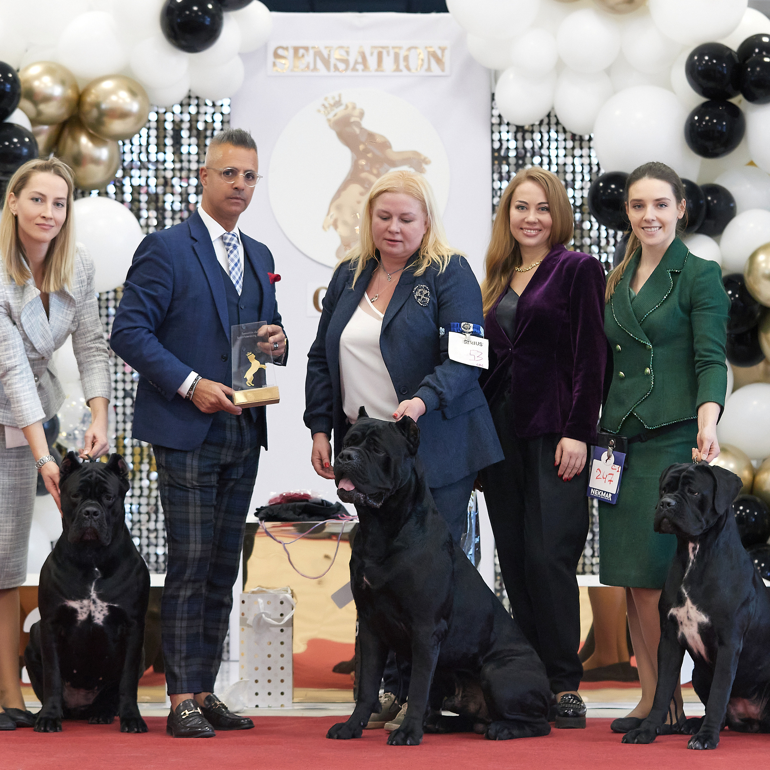 11.02.23 ВЫСТАВКА СОБАК ВСЕХ ПОРОД (CAC, ЧФ) «СЕНСАЦИЯ-2023». Кинологический клуб РКФ РФСС СЕНСАЦИЯ