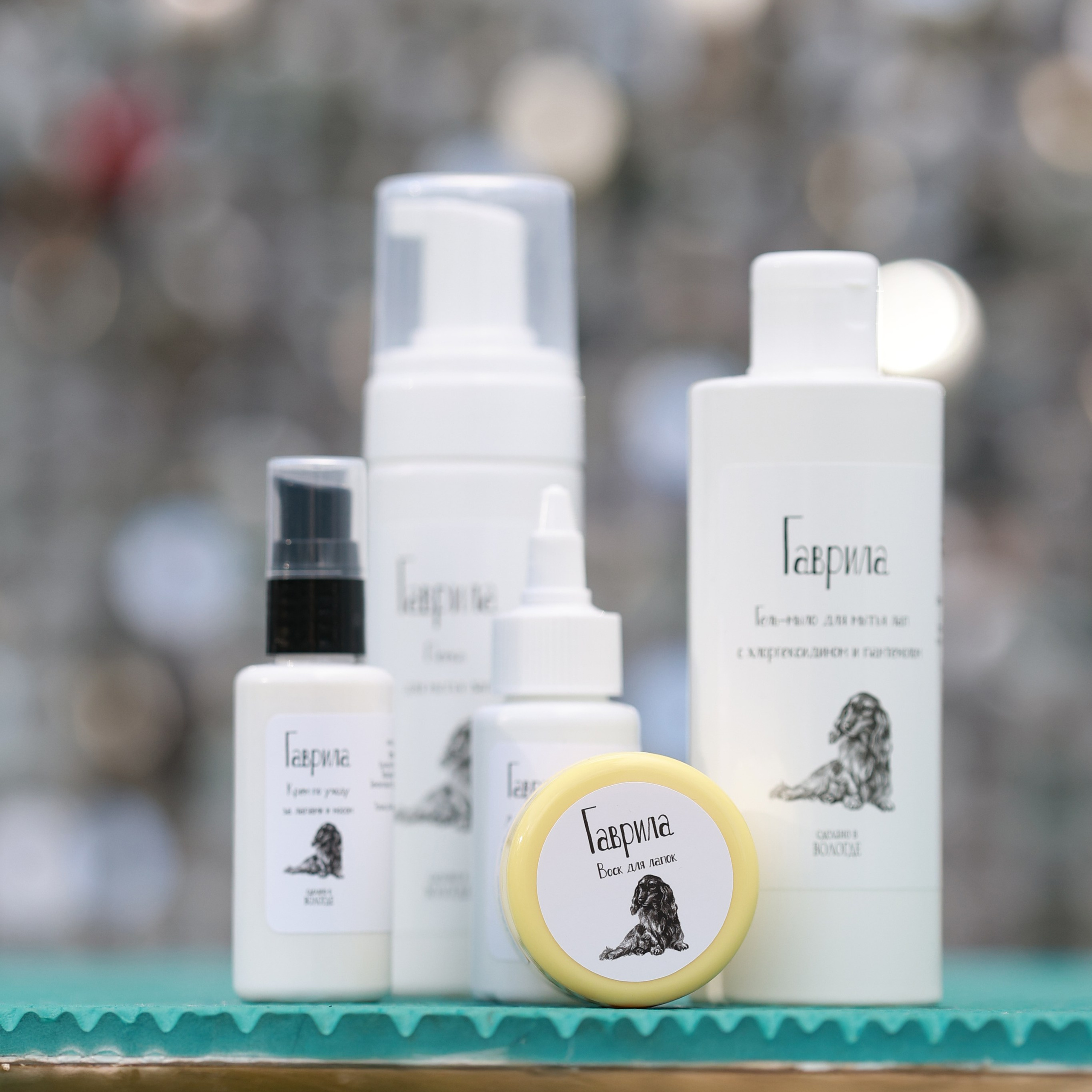 27-28.09.2025 ВЫСТАВКИ СОБАК ВСЕХ ПОРОД (САС, ЧРКФ, ЧФ). Кинологический клуб РКФ РФСС СЕНСАЦИЯ