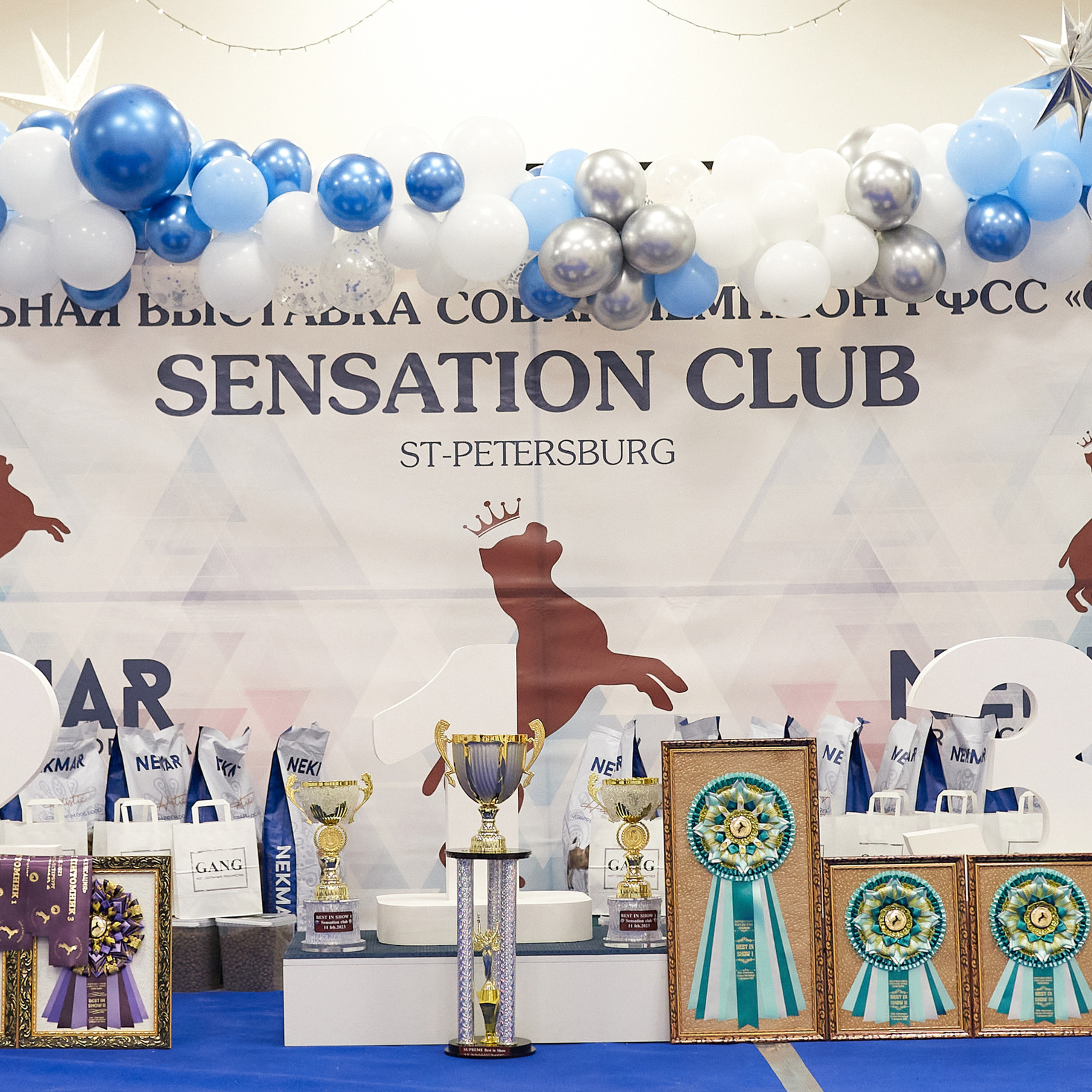 11.02.23 ВЫСТАВКА СОБАК ВСЕХ ПОРОД (CAC, ЧФ) «СЕНСАЦИЯ-2023». Кинологический клуб РКФ РФСС СЕНСАЦИЯ