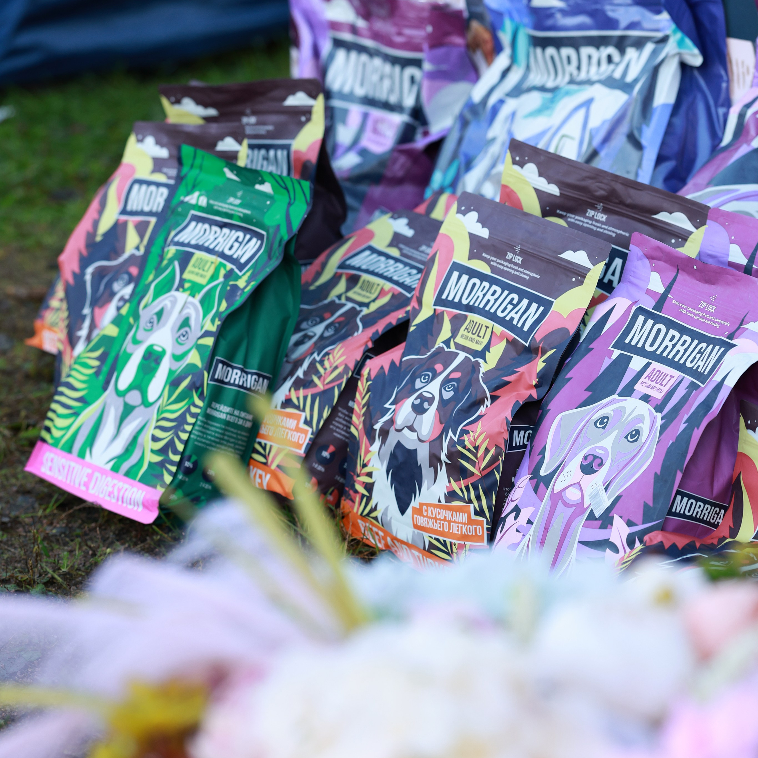 27-28.09.2025 ВЫСТАВКИ СОБАК ВСЕХ ПОРОД (САС, ЧРКФ, ЧФ). Кинологический клуб РКФ РФСС СЕНСАЦИЯ