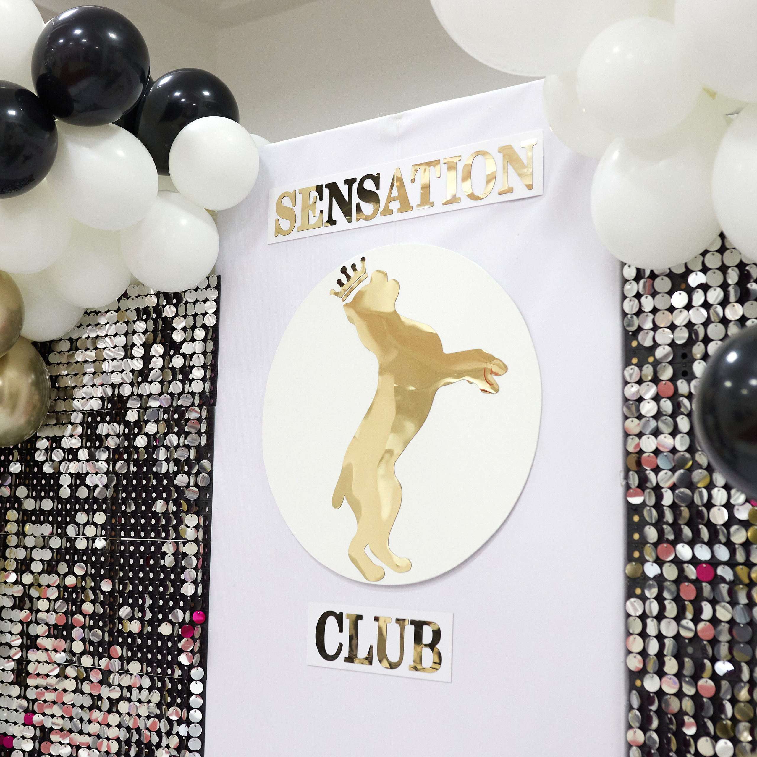 11.02.23 ВЫСТАВКА СОБАК ВСЕХ ПОРОД (CAC, ЧФ) «СЕНСАЦИЯ-2023». Кинологический клуб РКФ РФСС СЕНСАЦИЯ