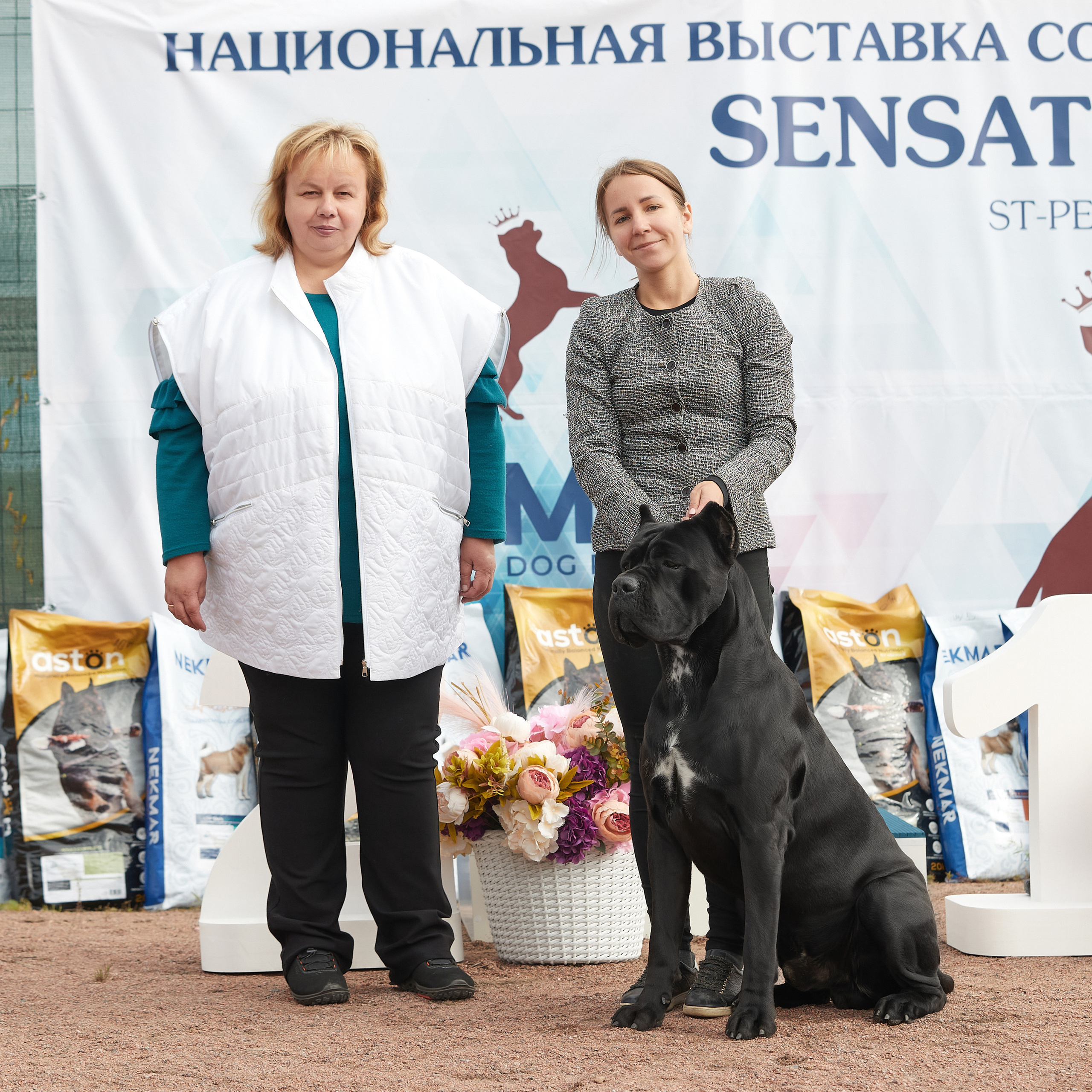 18.09.22 ВЫСТАВКА СОБАК ВСЕХ ПОРОД (CAC, ЧФ) «СЕНСАЦИЯ-2022». Кинологический клуб РКФ РФСС СЕНСАЦИЯ