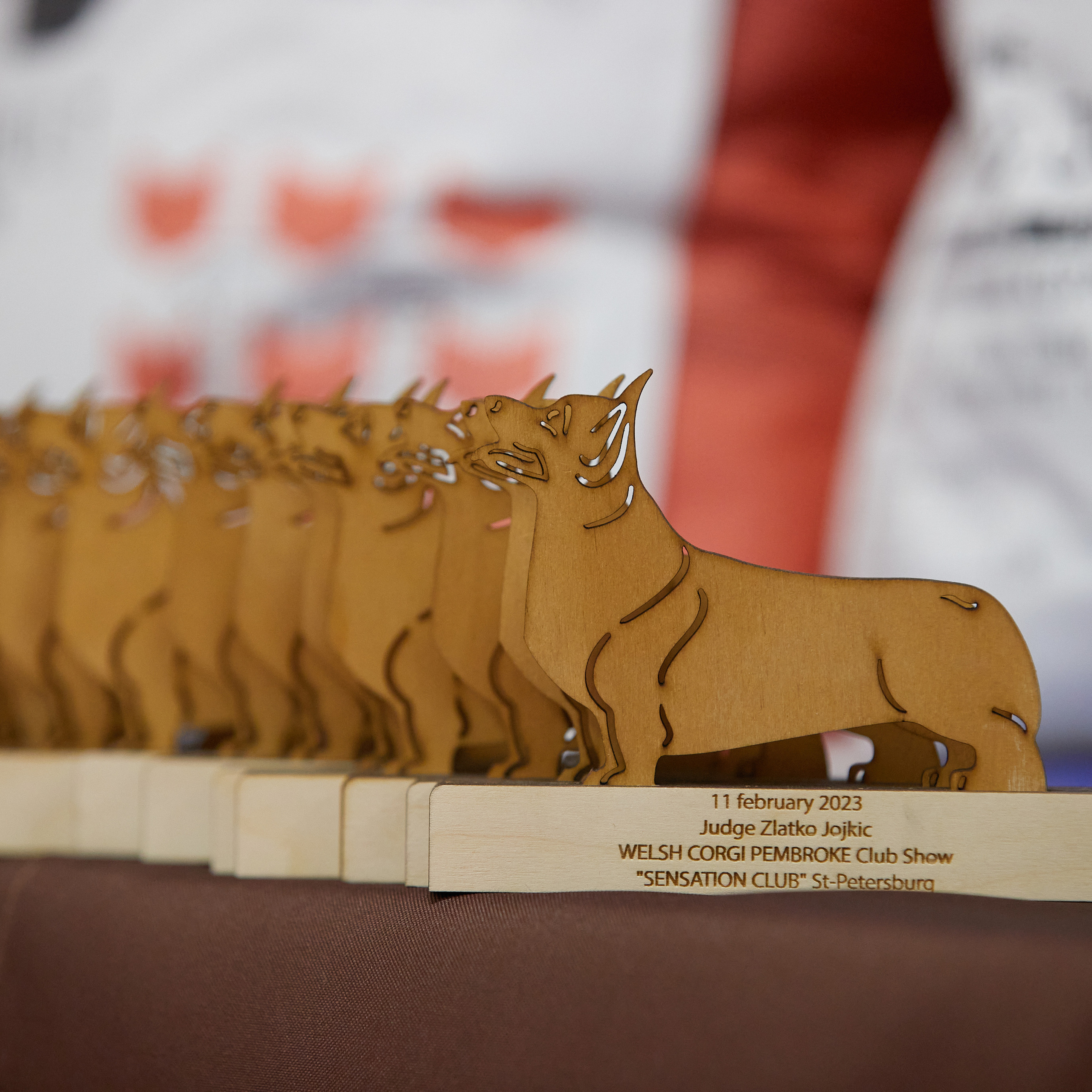 11.02.23 ВЫСТАВКА СОБАК ВСЕХ ПОРОД (CAC, ЧФ) «СЕНСАЦИЯ-2023». Кинологический клуб РКФ РФСС СЕНСАЦИЯ