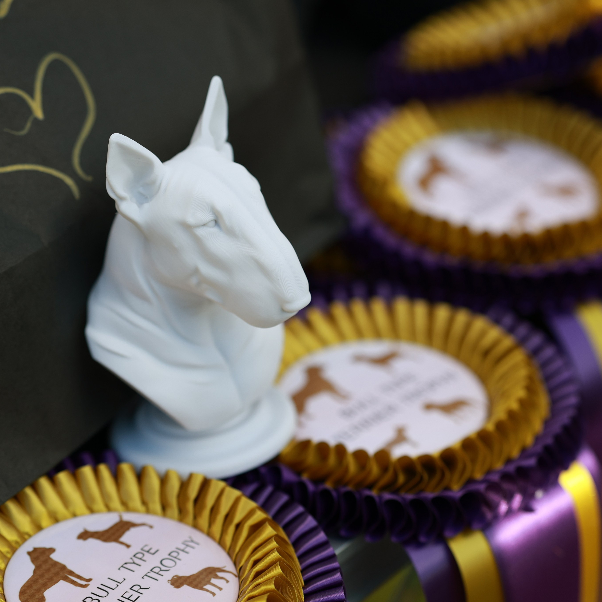 27-28.09.2025 ВЫСТАВКИ СОБАК ВСЕХ ПОРОД (САС, ЧРКФ, ЧФ). Кинологический клуб РКФ РФСС СЕНСАЦИЯ