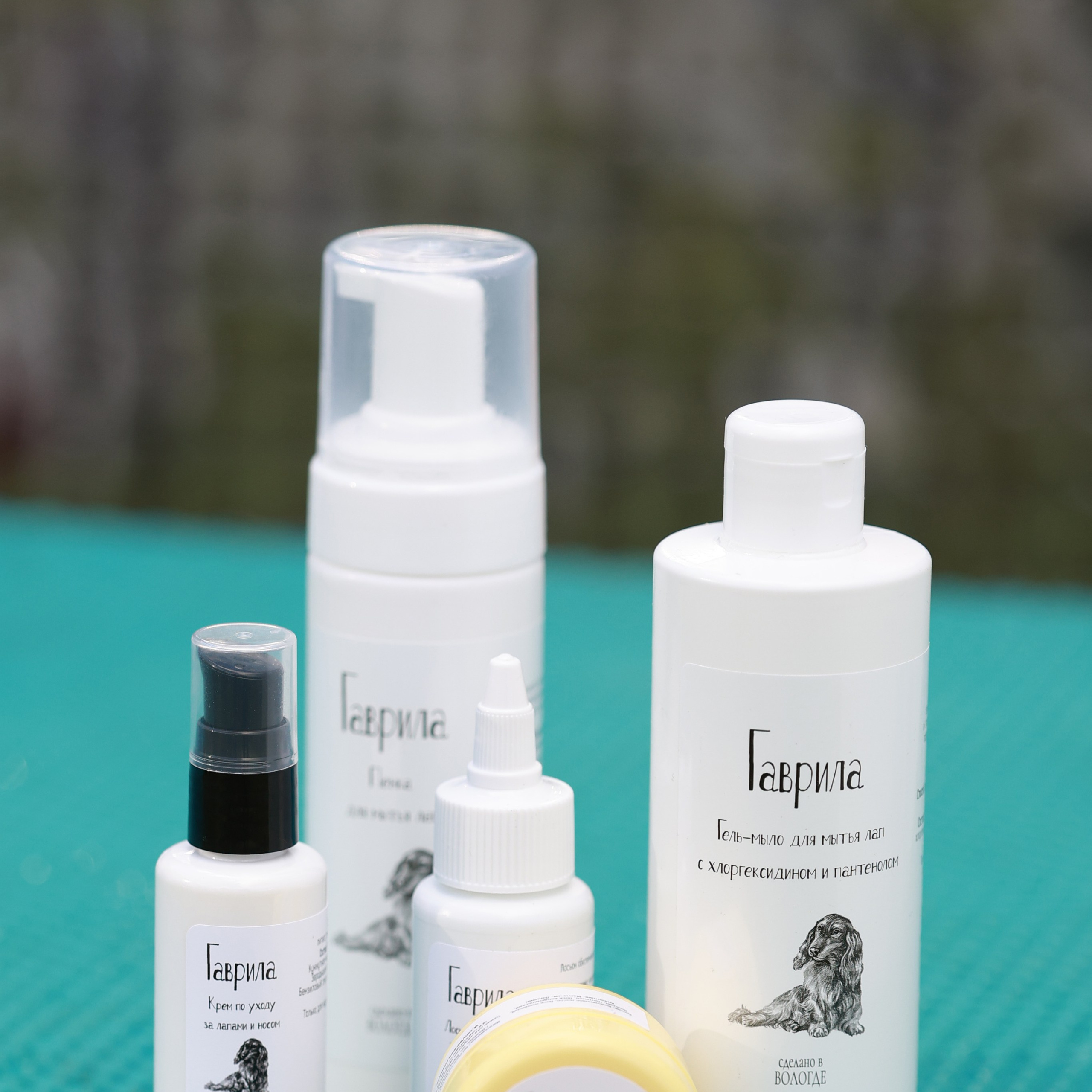 27-28.09.2025 ВЫСТАВКИ СОБАК ВСЕХ ПОРОД (САС, ЧРКФ, ЧФ). Кинологический клуб РКФ РФСС СЕНСАЦИЯ