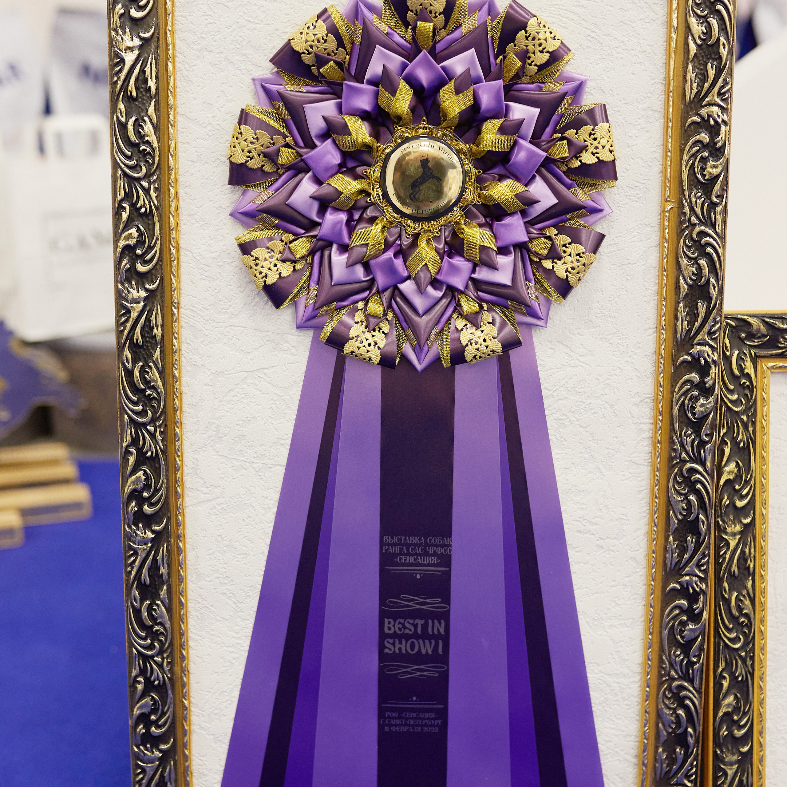 11.02.23 ВЫСТАВКА СОБАК ВСЕХ ПОРОД (CAC, ЧФ) «СЕНСАЦИЯ-2023». Кинологический клуб РКФ РФСС СЕНСАЦИЯ