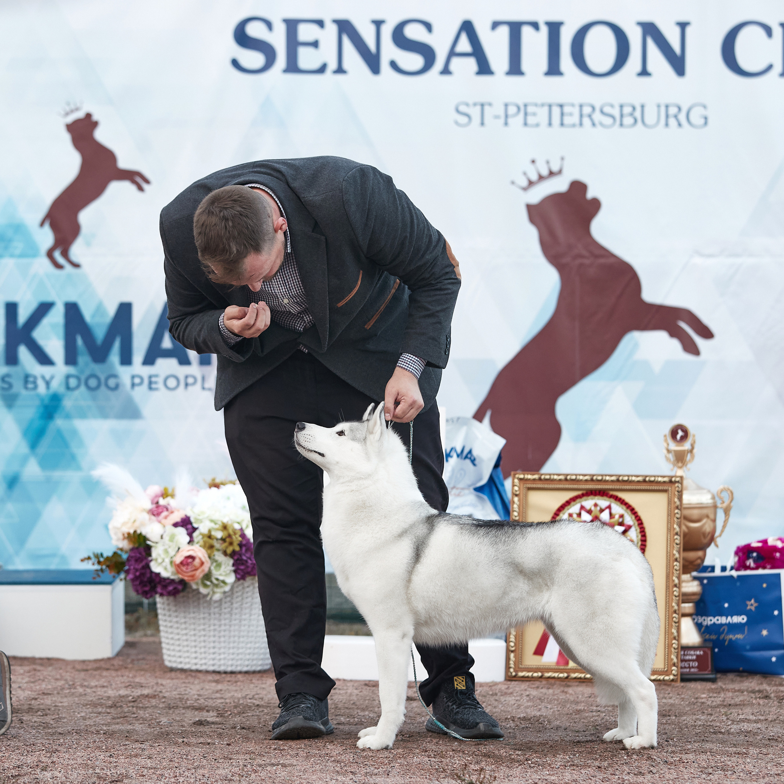 18.09.22 ВЫСТАВКА СОБАК ВСЕХ ПОРОД (CAC, ЧФ) «СЕНСАЦИЯ-2022». Кинологический клуб РКФ РФСС СЕНСАЦИЯ