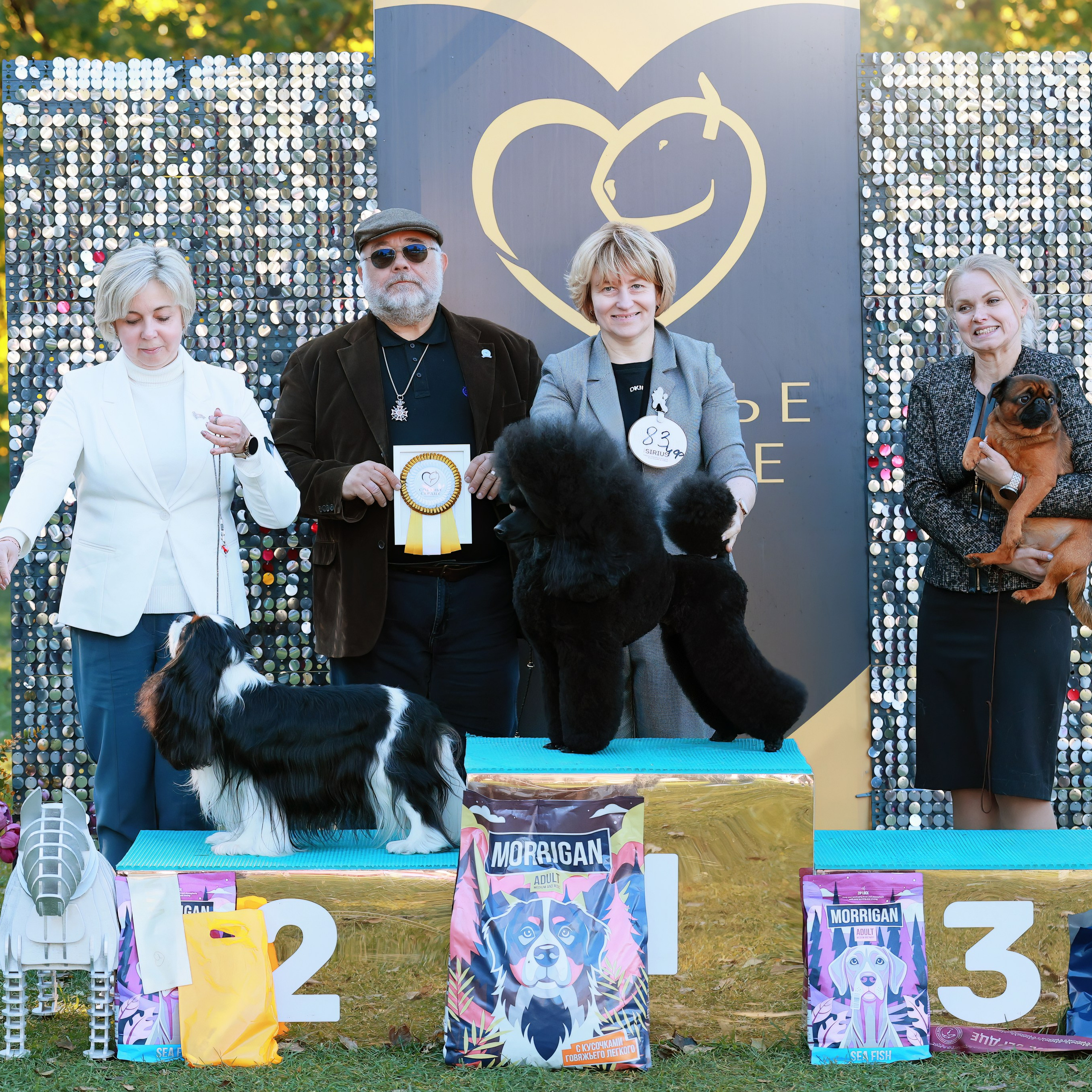 27-28.09.2025 ВЫСТАВКИ СОБАК ВСЕХ ПОРОД (САС, ЧРКФ, ЧФ). Кинологический клуб РКФ РФСС СЕНСАЦИЯ