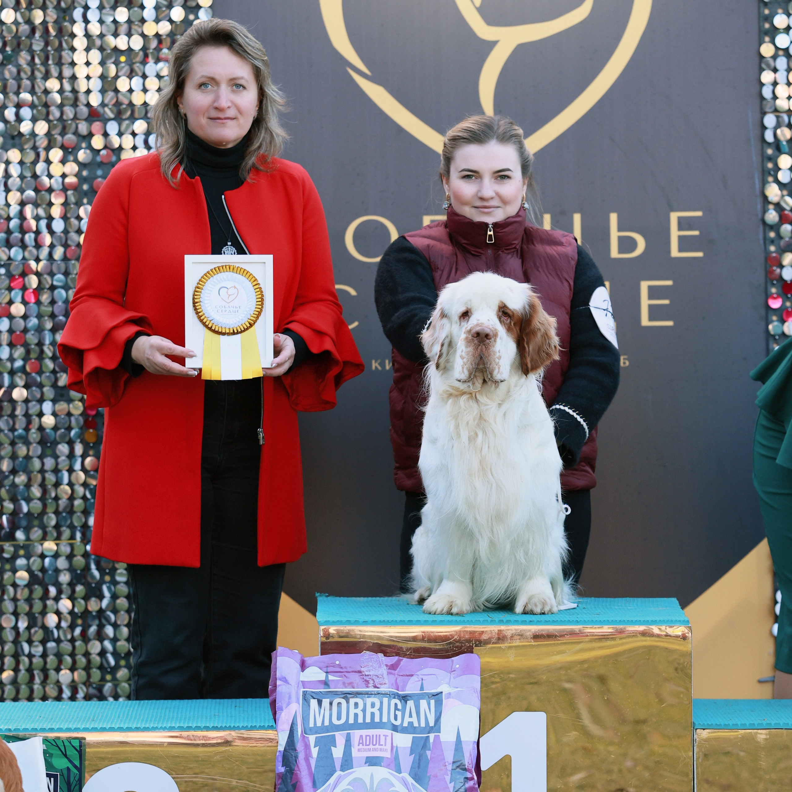27-28.09.2025 ВЫСТАВКИ СОБАК ВСЕХ ПОРОД (САС, ЧРКФ, ЧФ). Кинологический клуб РКФ РФСС СЕНСАЦИЯ