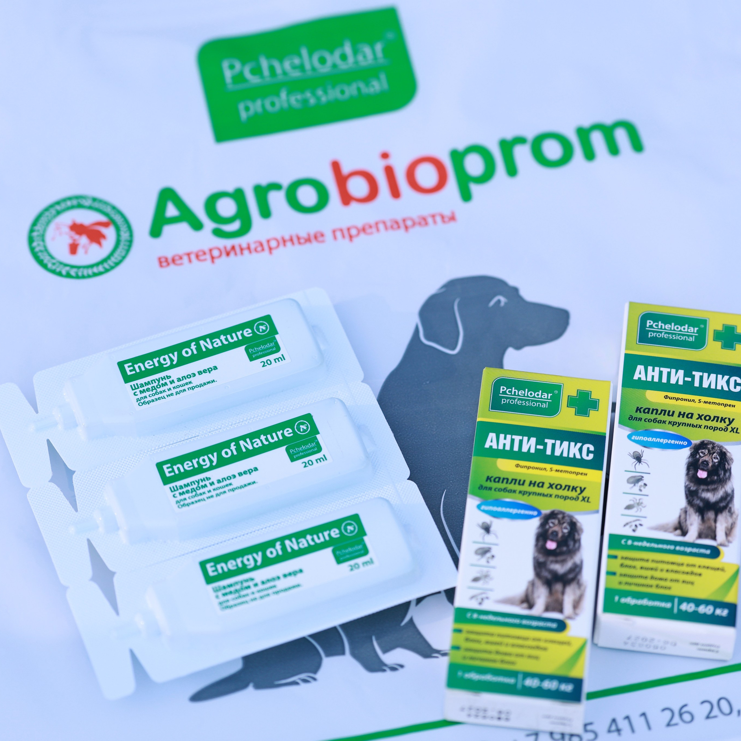 27-28.09.2025 ВЫСТАВКИ СОБАК ВСЕХ ПОРОД (САС, ЧРКФ, ЧФ). Кинологический клуб РКФ РФСС СЕНСАЦИЯ