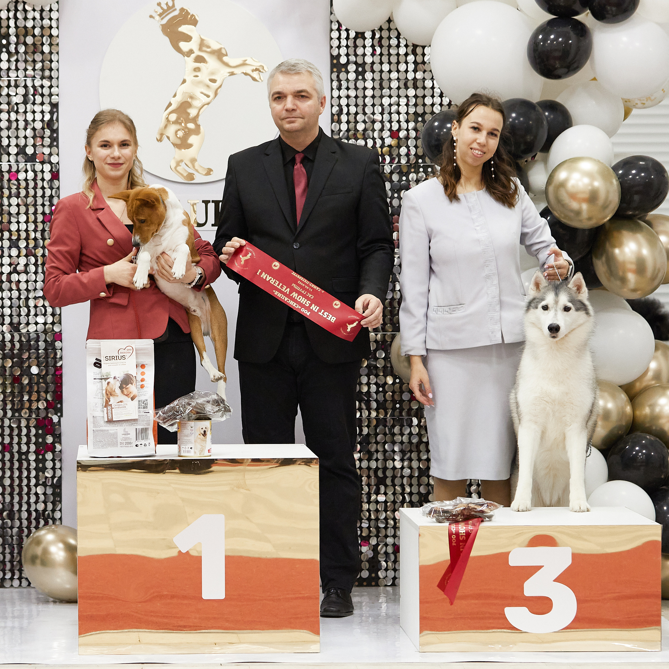 11.02.23 ВЫСТАВКА СОБАК ВСЕХ ПОРОД (CAC, ЧФ) «СЕНСАЦИЯ-2023». Кинологический клуб РКФ РФСС СЕНСАЦИЯ