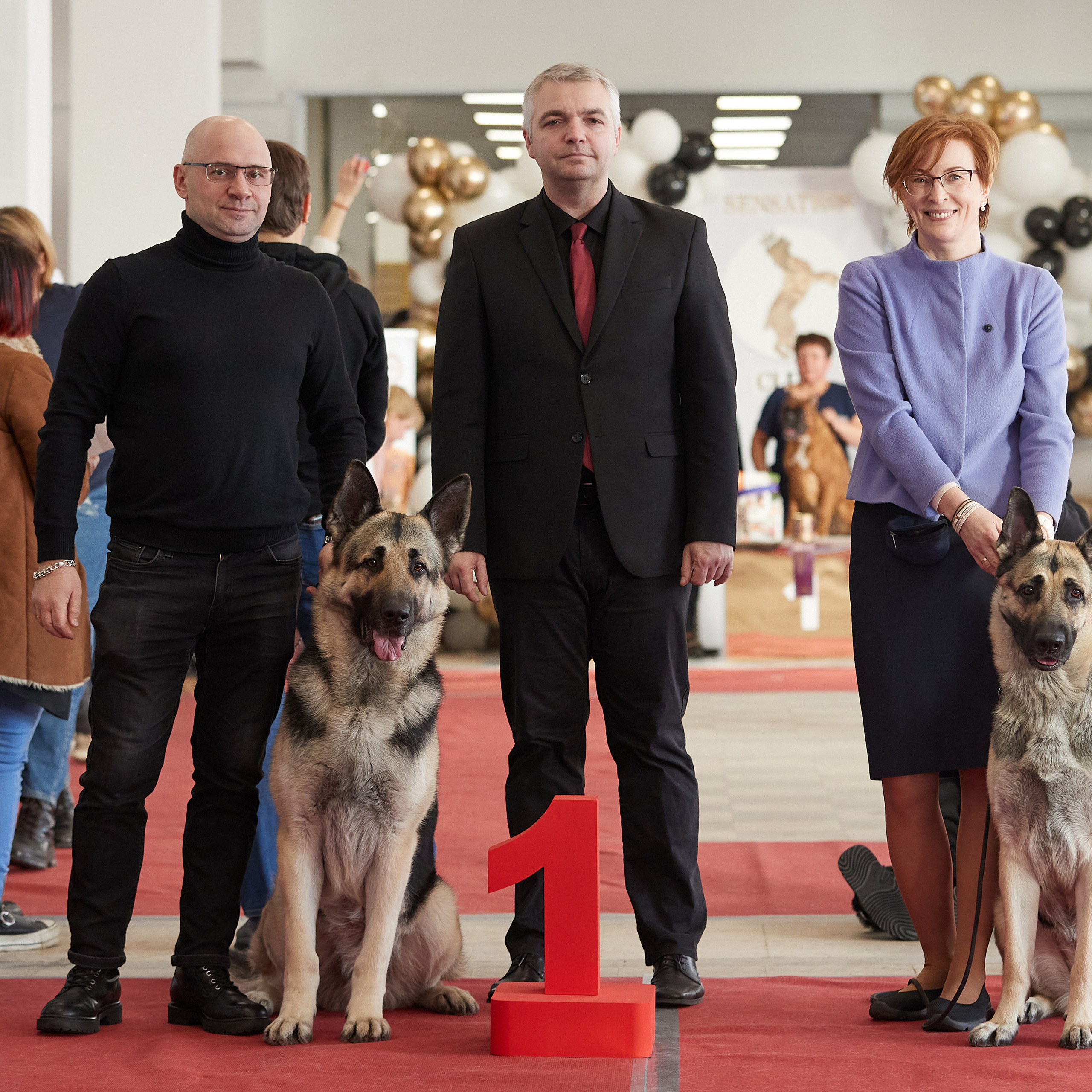 11.02.23 ВЫСТАВКА СОБАК ВСЕХ ПОРОД (CAC, ЧФ) «СЕНСАЦИЯ-2023». Кинологический клуб РКФ РФСС СЕНСАЦИЯ