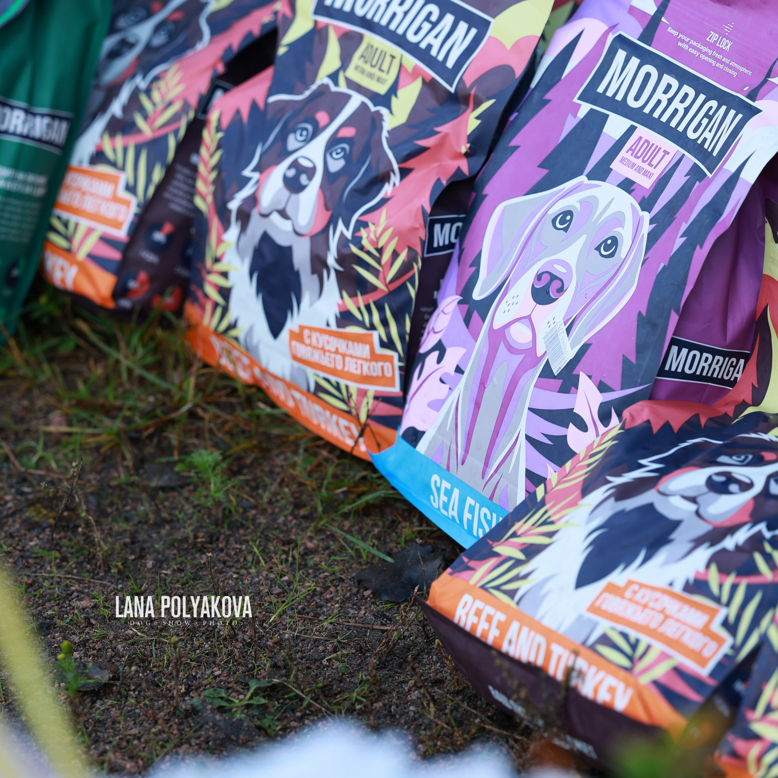 27-28.09.2025 ВЫСТАВКИ СОБАК ВСЕХ ПОРОД (САС, ЧРКФ, ЧФ). Кинологический клуб РКФ РФСС СЕНСАЦИЯ