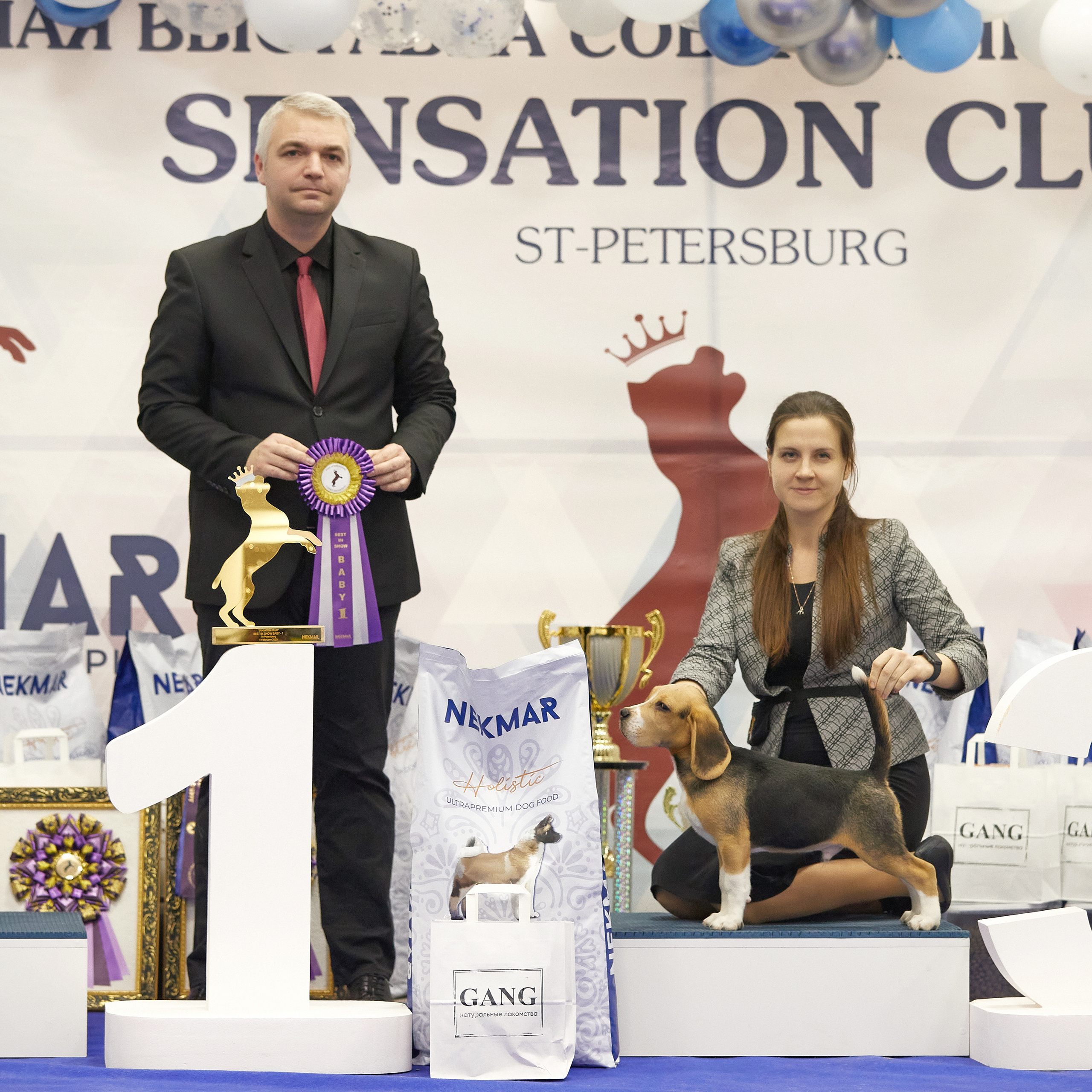 11.02.23 ВЫСТАВКА СОБАК ВСЕХ ПОРОД (CAC, ЧФ) «СЕНСАЦИЯ-2023». Кинологический клуб РКФ РФСС СЕНСАЦИЯ