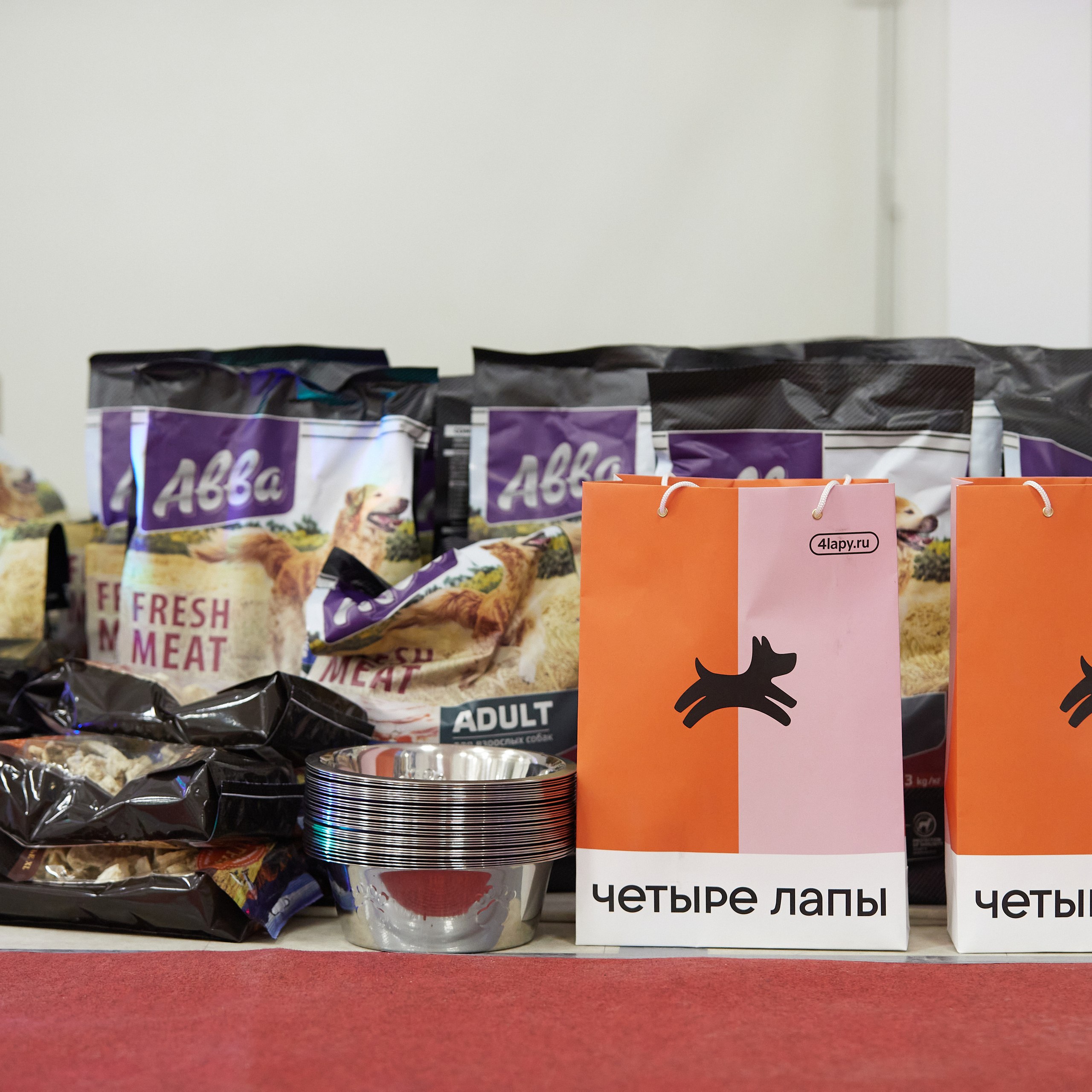 11.02.23 ВЫСТАВКА СОБАК ВСЕХ ПОРОД (CAC, ЧФ) «СЕНСАЦИЯ-2023». Кинологический клуб РКФ РФСС СЕНСАЦИЯ