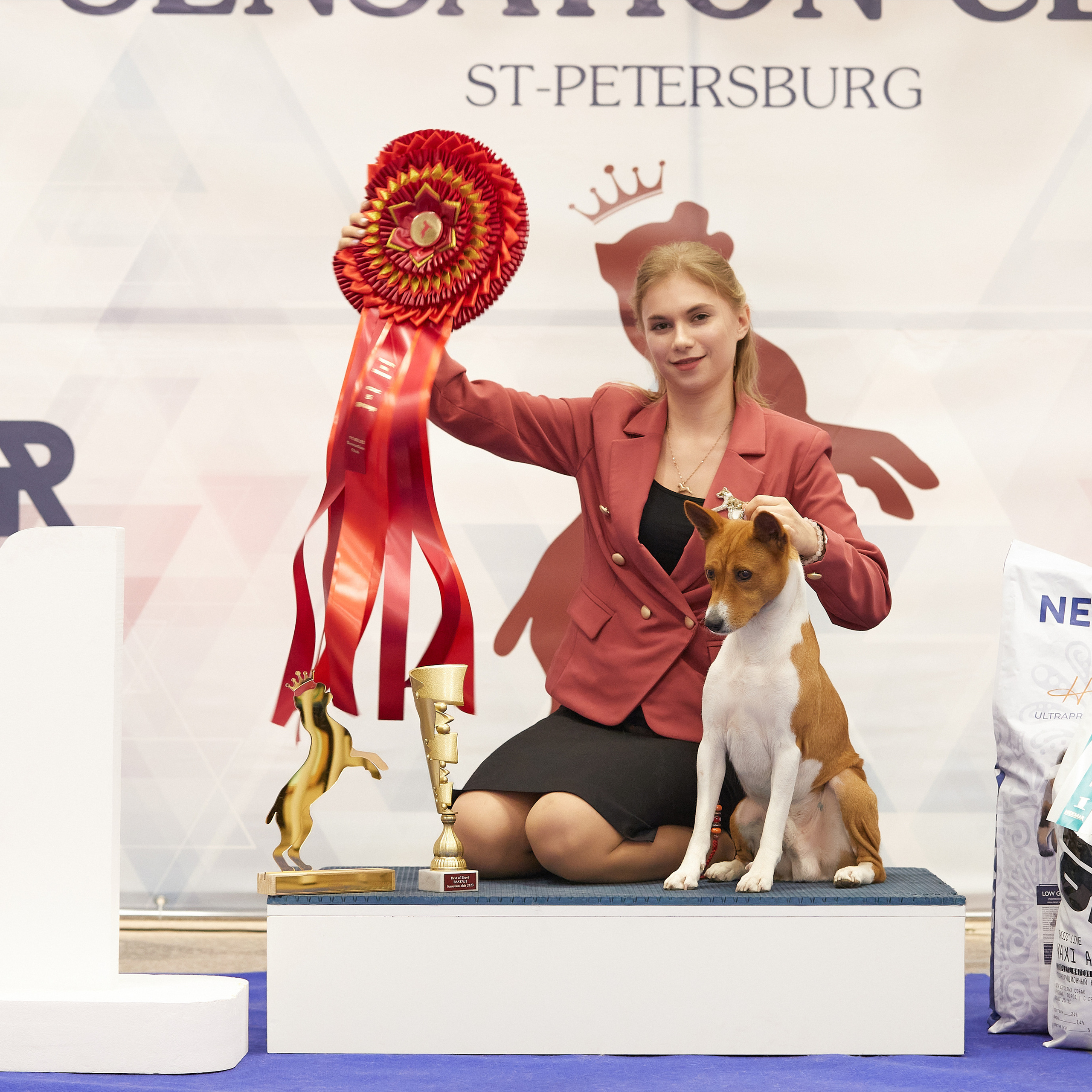 11.02.23 ВЫСТАВКА СОБАК ВСЕХ ПОРОД (CAC, ЧФ) «СЕНСАЦИЯ-2023». Кинологический клуб РКФ РФСС СЕНСАЦИЯ