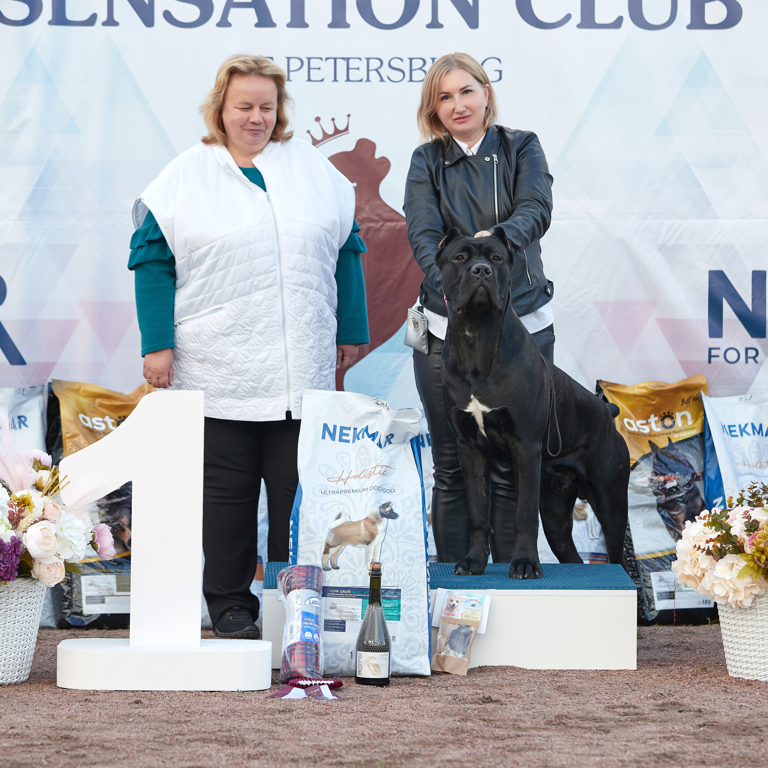 18.09.22 ВЫСТАВКА СОБАК ВСЕХ ПОРОД (CAC, ЧФ) «СЕНСАЦИЯ-2022». Кинологический клуб РКФ РФСС СЕНСАЦИЯ