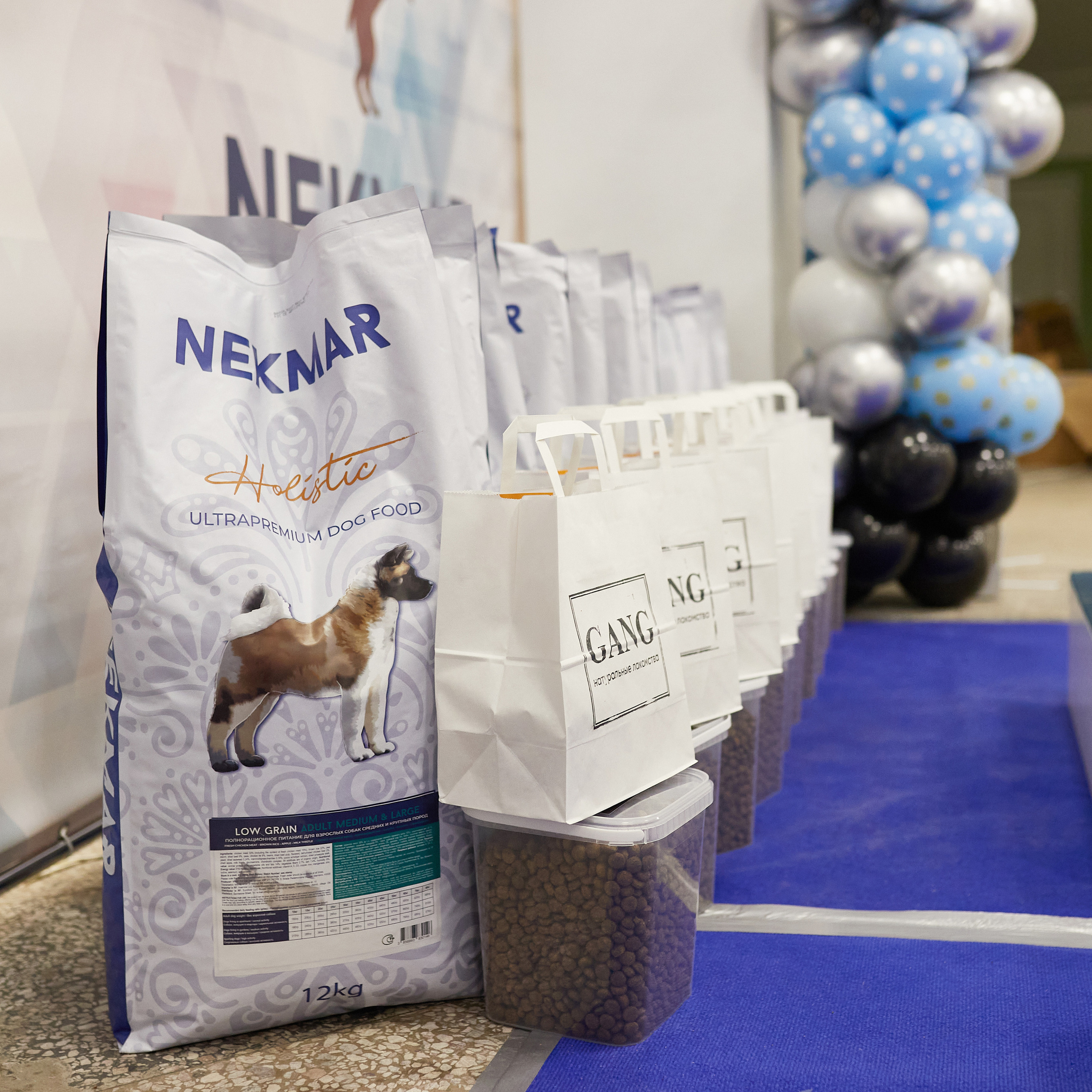 11.02.23 ВЫСТАВКА СОБАК ВСЕХ ПОРОД (CAC, ЧФ) «СЕНСАЦИЯ-2023». Кинологический клуб РКФ РФСС СЕНСАЦИЯ