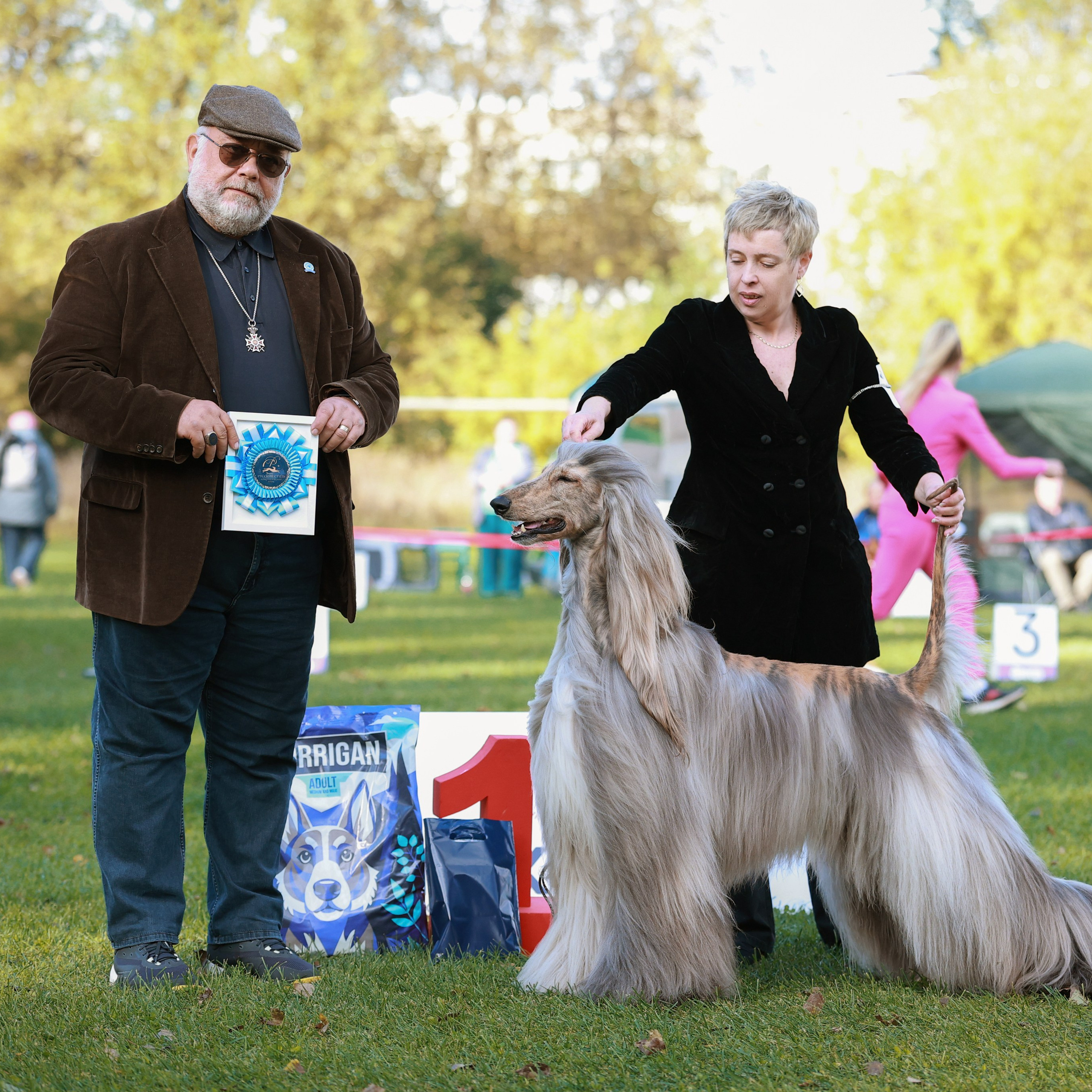 27-28.09.2025 ВЫСТАВКИ СОБАК ВСЕХ ПОРОД (САС, ЧРКФ, ЧФ). Кинологический клуб РКФ РФСС СЕНСАЦИЯ