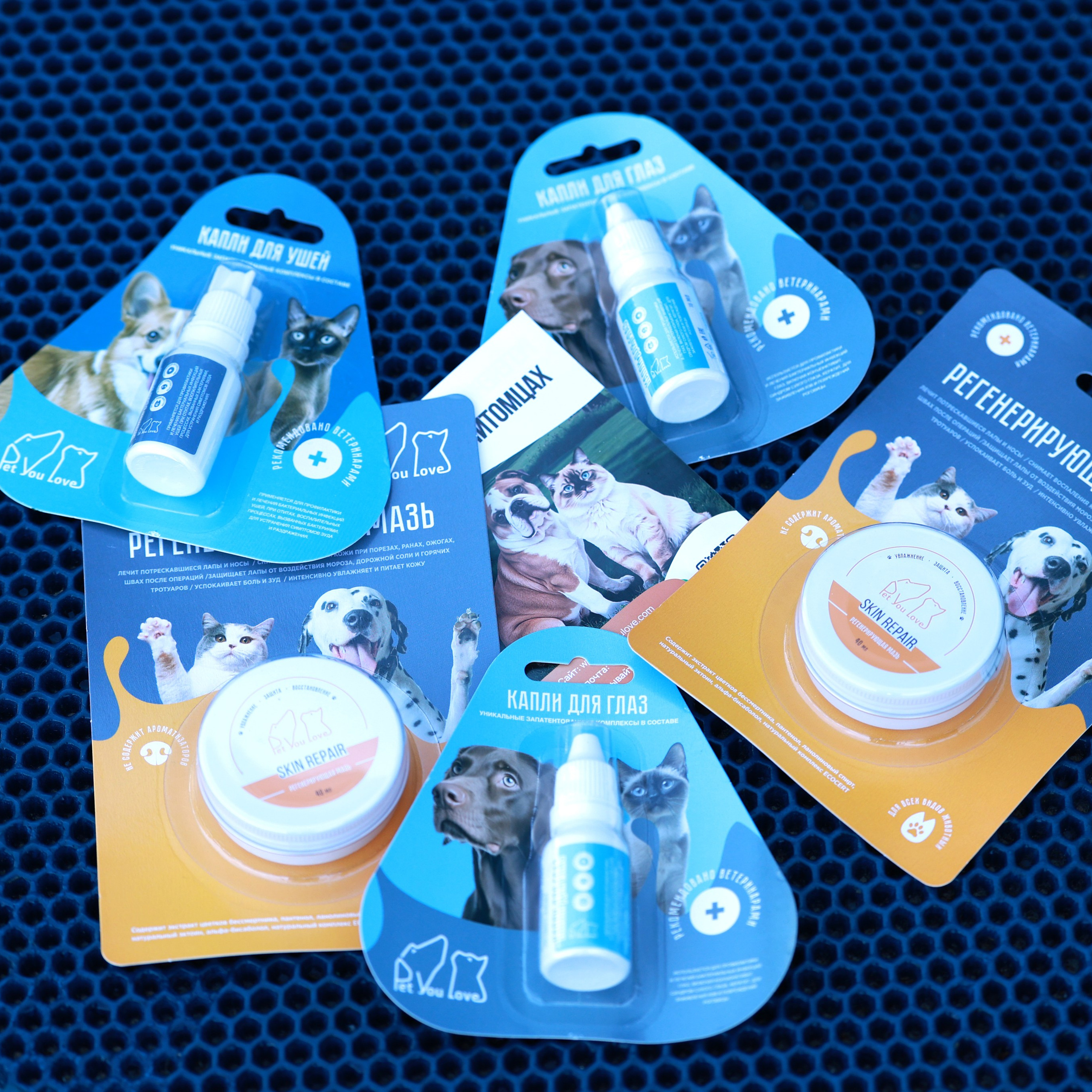 27-28.09.2025 ВЫСТАВКИ СОБАК ВСЕХ ПОРОД (САС, ЧРКФ, ЧФ). Кинологический клуб РКФ РФСС СЕНСАЦИЯ