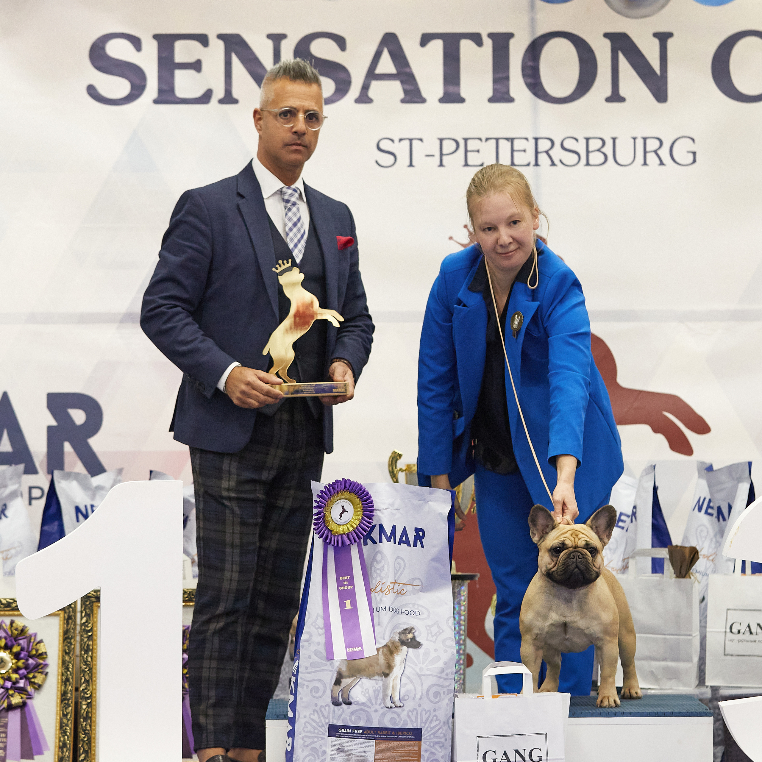 11.02.23 ВЫСТАВКА СОБАК ВСЕХ ПОРОД (CAC, ЧФ) «СЕНСАЦИЯ-2023». Кинологический клуб РКФ РФСС СЕНСАЦИЯ