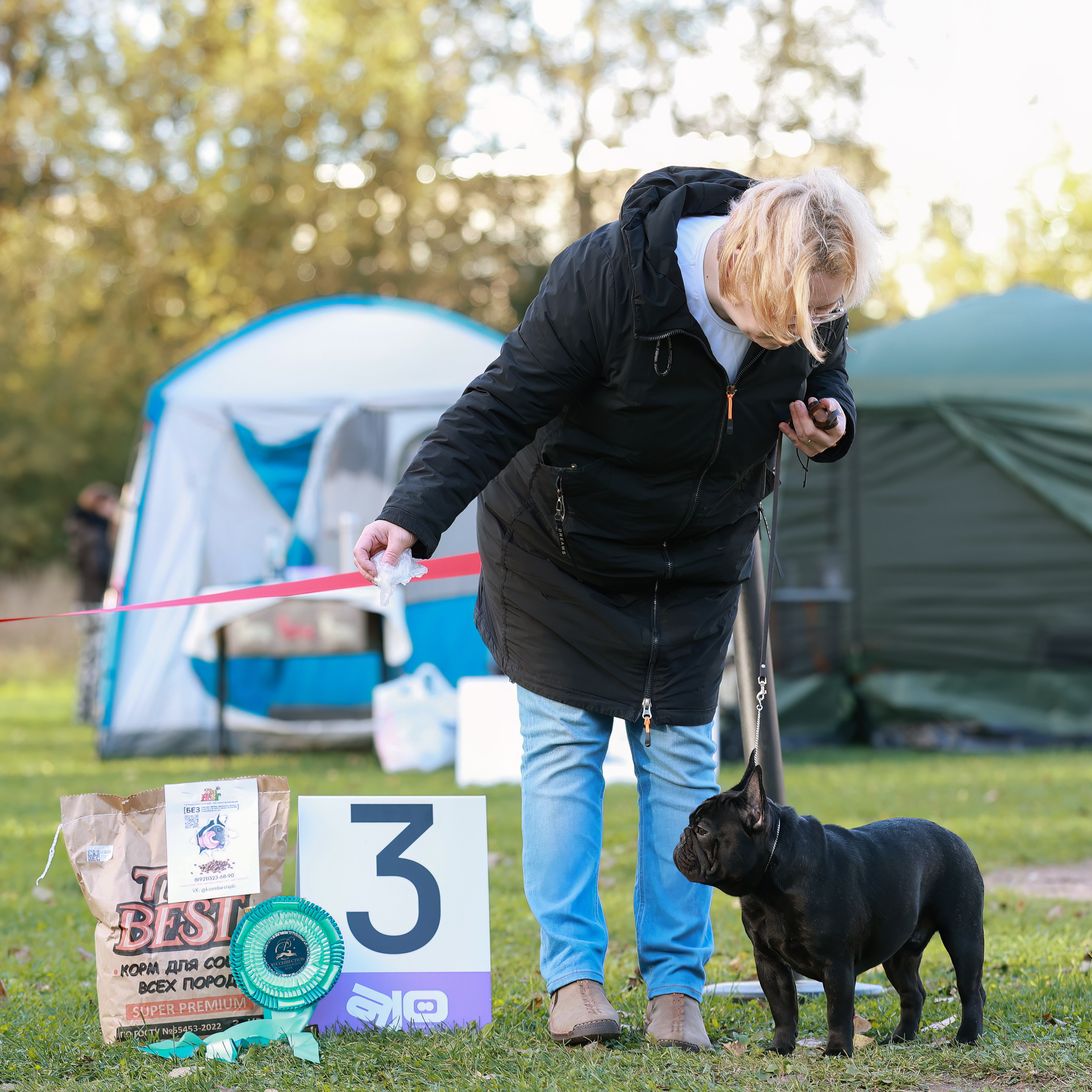 27-28.09.2025 ВЫСТАВКИ СОБАК ВСЕХ ПОРОД (САС, ЧРКФ, ЧФ). Кинологический клуб РКФ РФСС СЕНСАЦИЯ