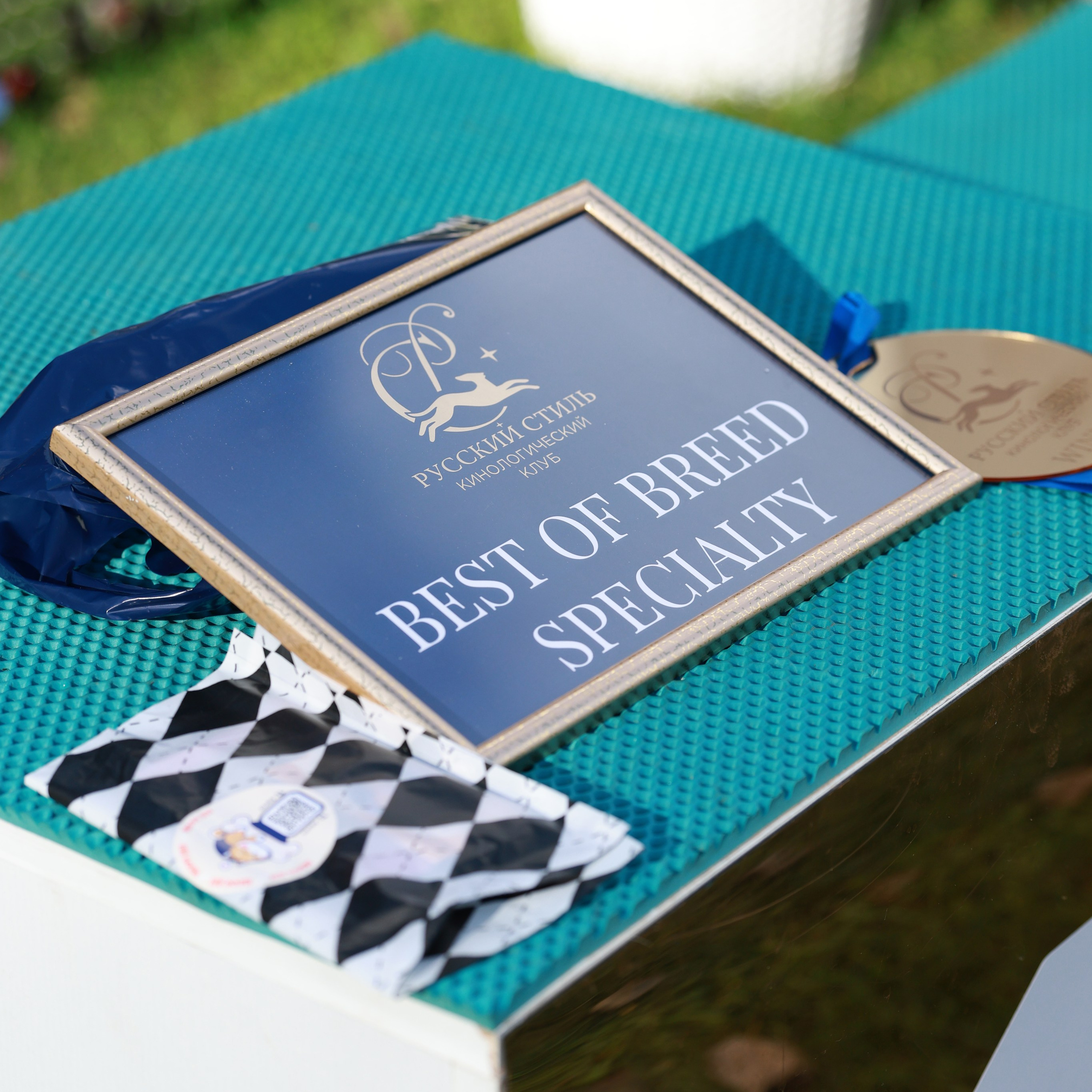 27-28.09.2025 ВЫСТАВКИ СОБАК ВСЕХ ПОРОД (САС, ЧРКФ, ЧФ). Кинологический клуб РКФ РФСС СЕНСАЦИЯ