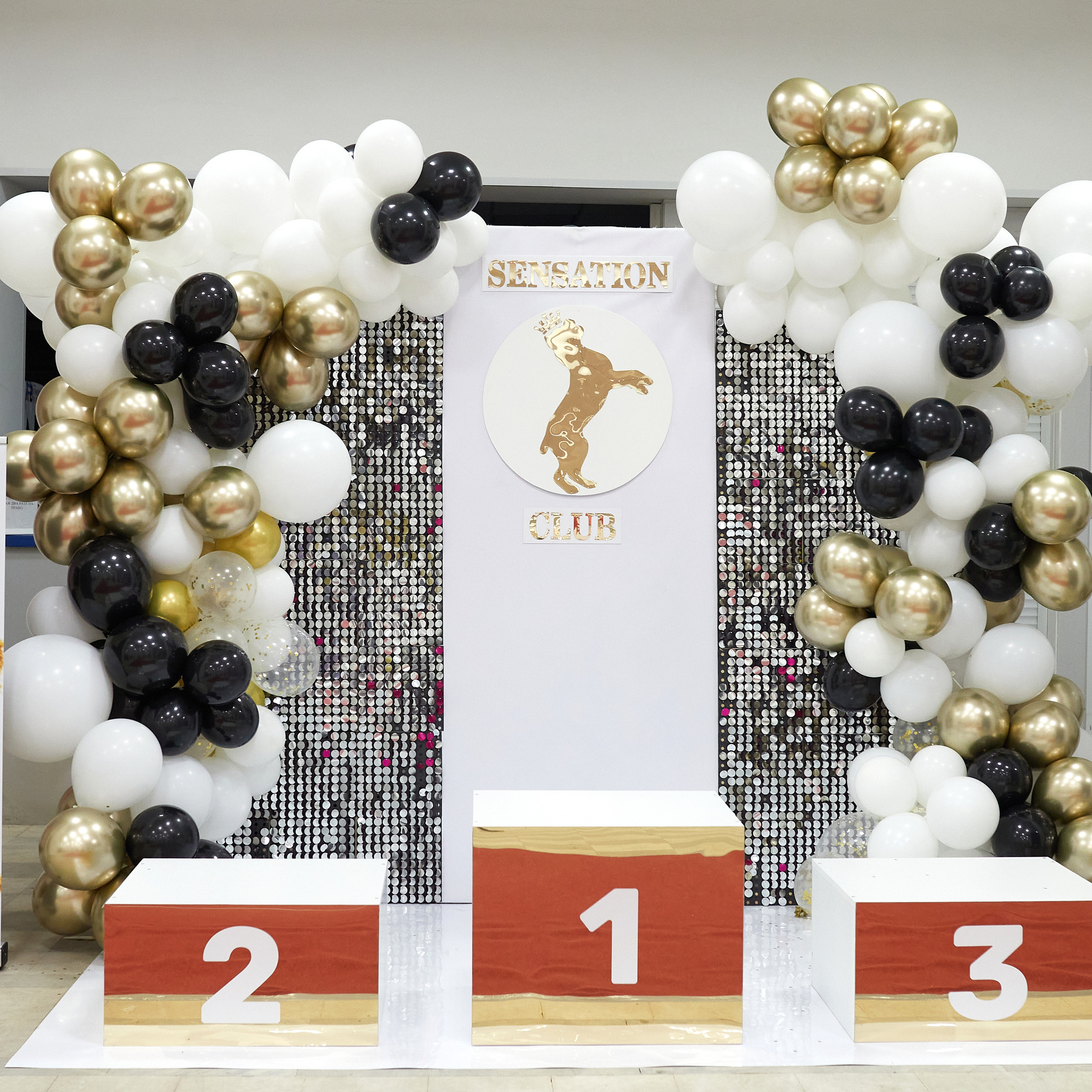 11.02.23 ВЫСТАВКА СОБАК ВСЕХ ПОРОД (CAC, ЧФ) «СЕНСАЦИЯ-2023». Кинологический клуб РКФ РФСС СЕНСАЦИЯ