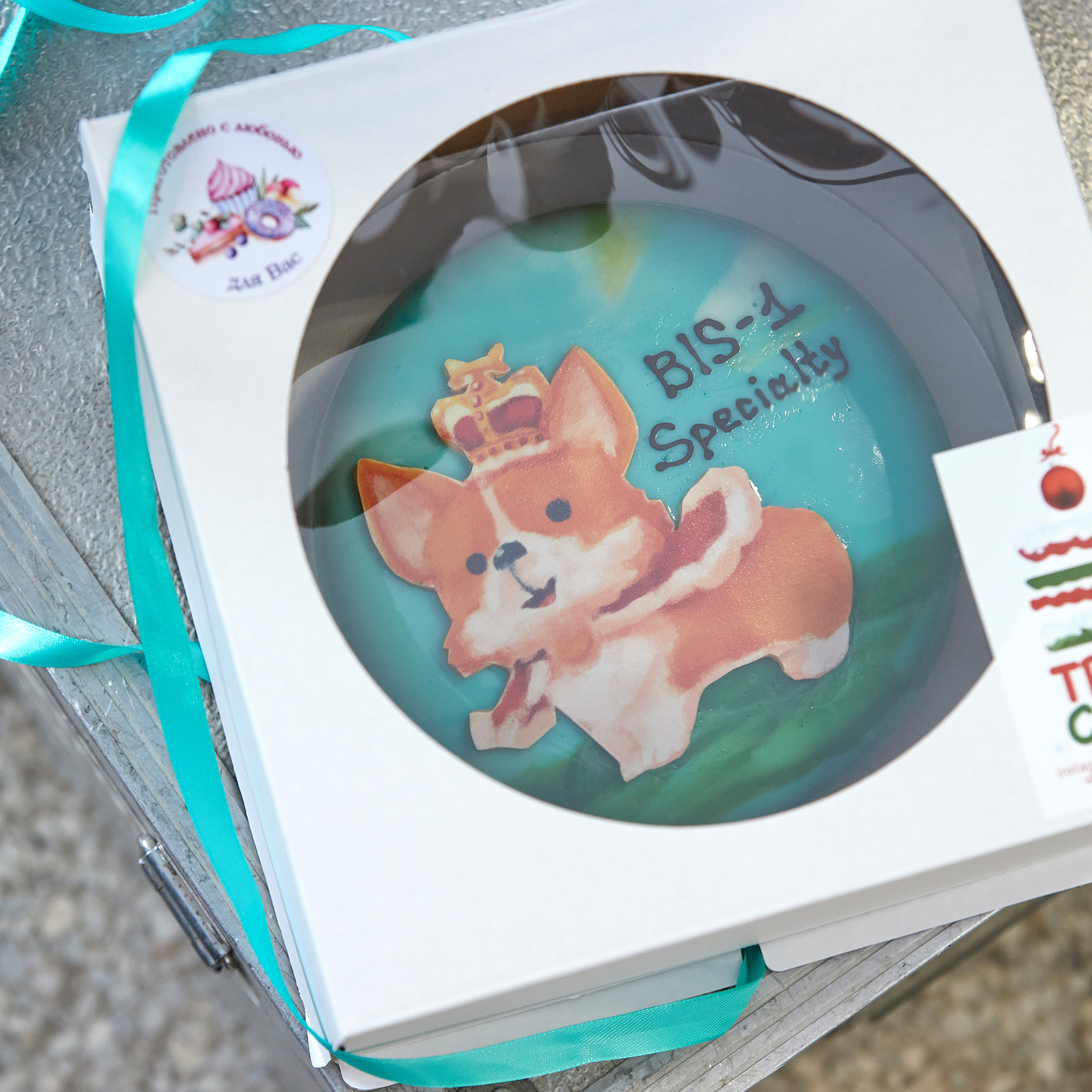 11.02.23 ВЫСТАВКА СОБАК ВСЕХ ПОРОД (CAC, ЧФ) «СЕНСАЦИЯ-2023». Кинологический клуб РКФ РФСС СЕНСАЦИЯ