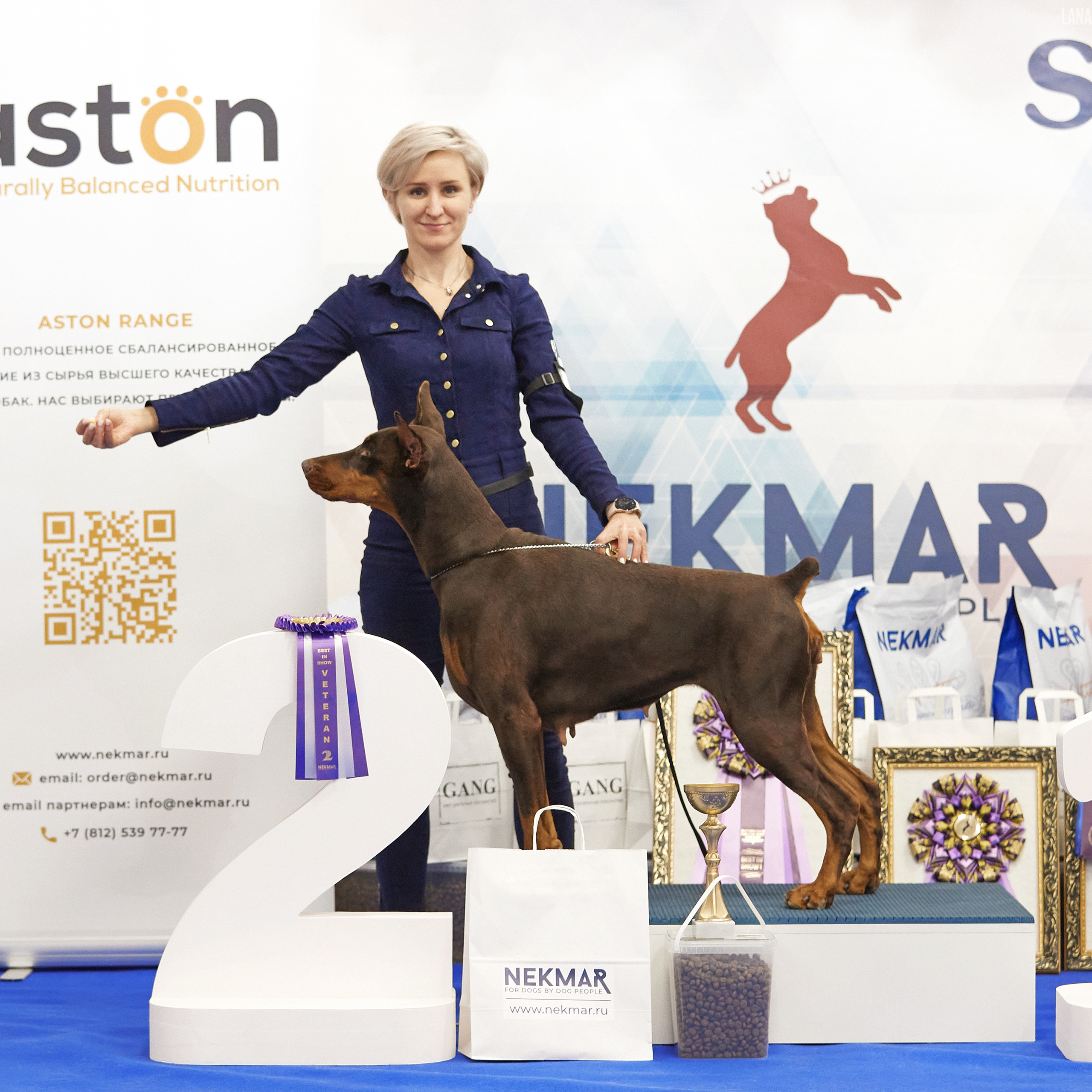 11.02.23 ВЫСТАВКА СОБАК ВСЕХ ПОРОД (CAC, ЧФ) «СЕНСАЦИЯ-2023». Кинологический клуб РКФ РФСС СЕНСАЦИЯ