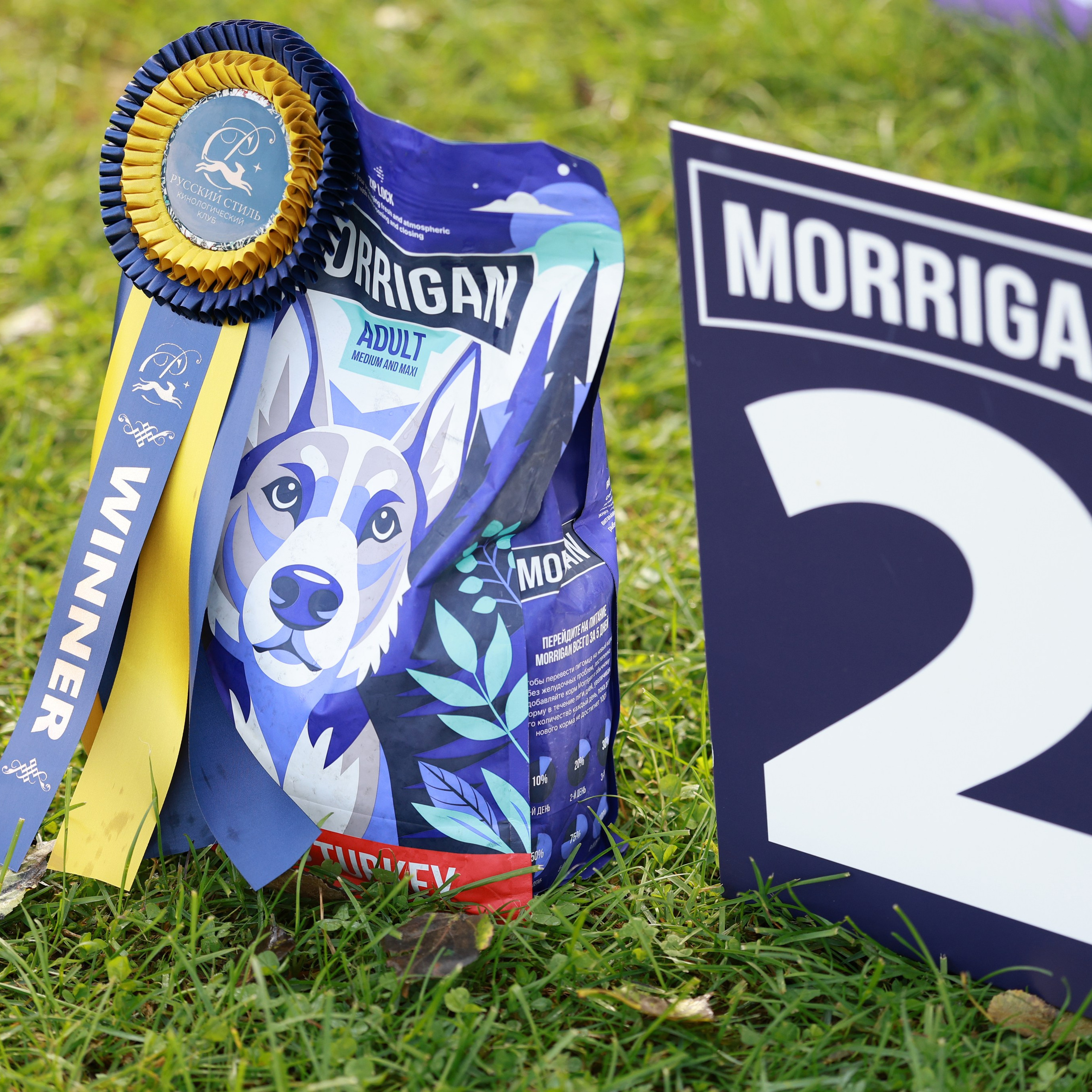 27-28.09.2025 ВЫСТАВКИ СОБАК ВСЕХ ПОРОД (САС, ЧРКФ, ЧФ). Кинологический клуб РКФ РФСС СЕНСАЦИЯ