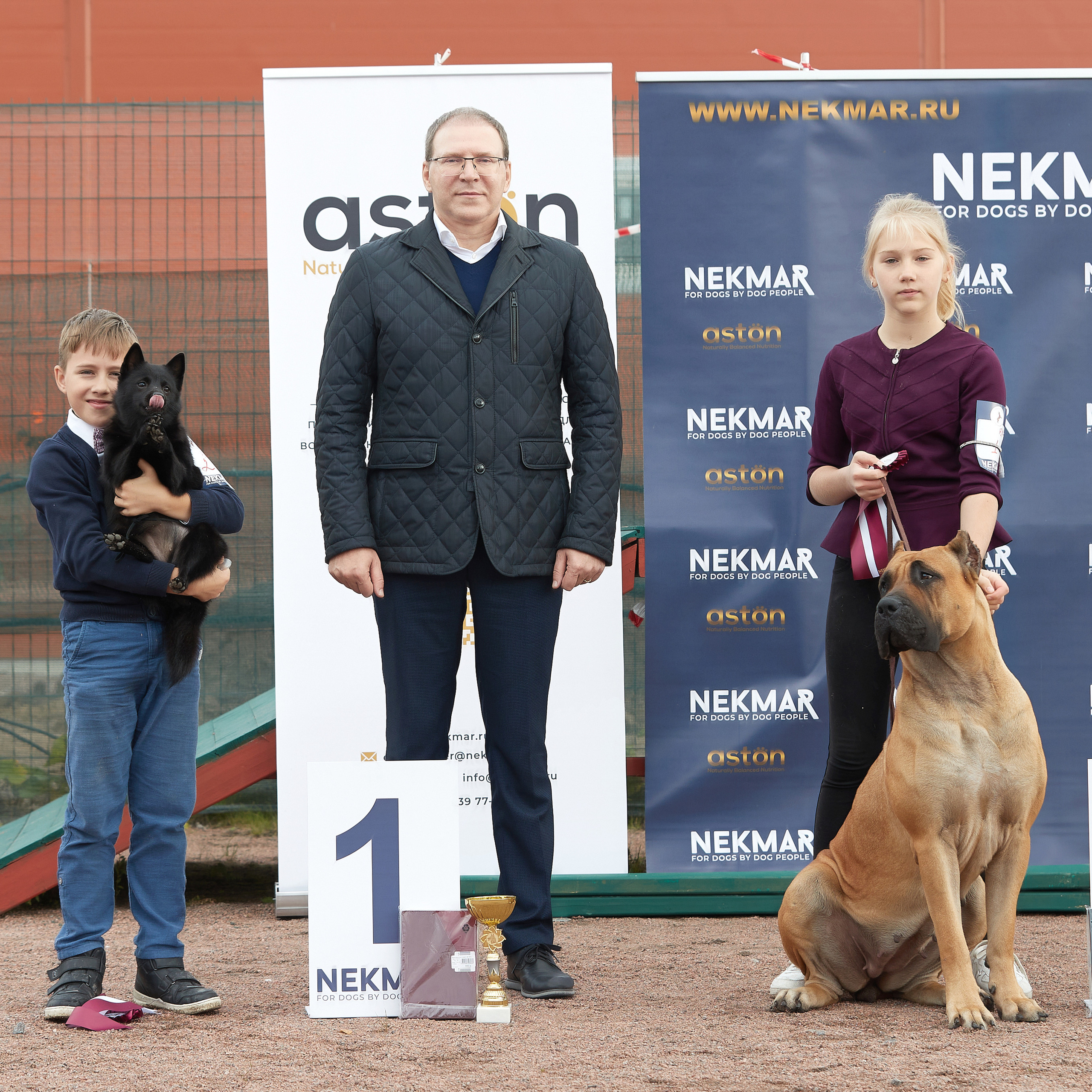 18.09.22 ВЫСТАВКА СОБАК ВСЕХ ПОРОД (CAC, ЧФ) «СЕНСАЦИЯ-2022». Кинологический клуб РКФ РФСС СЕНСАЦИЯ